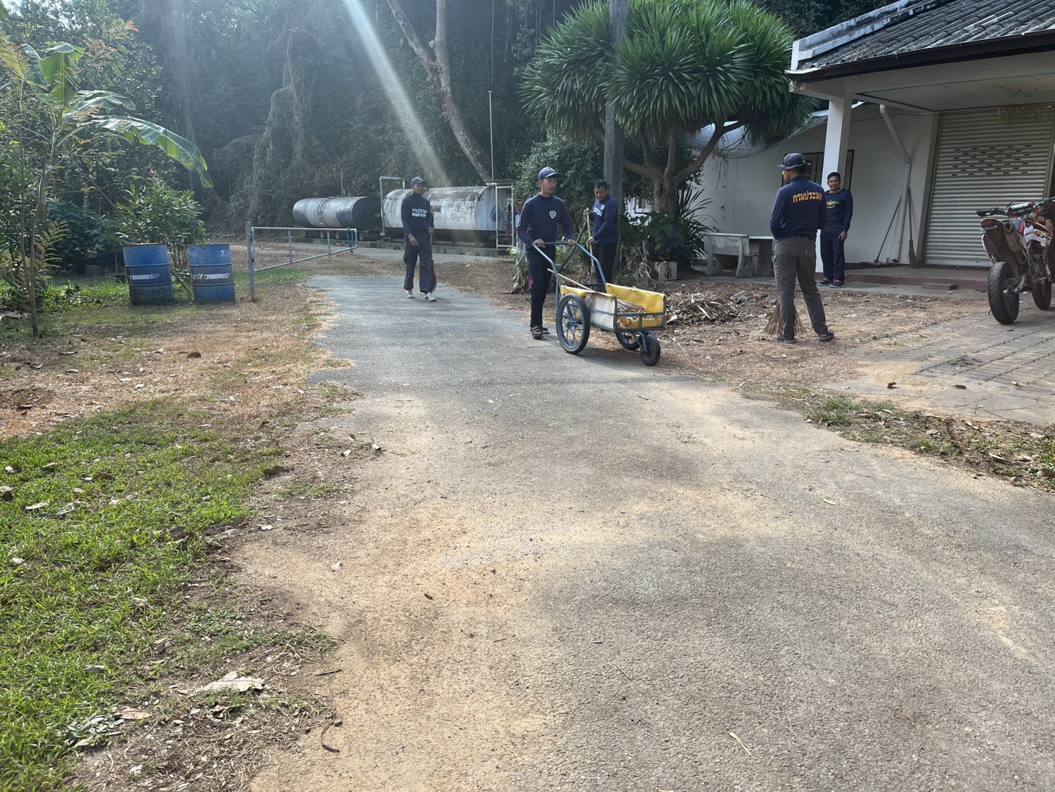 รูป ประกอบบทความ8