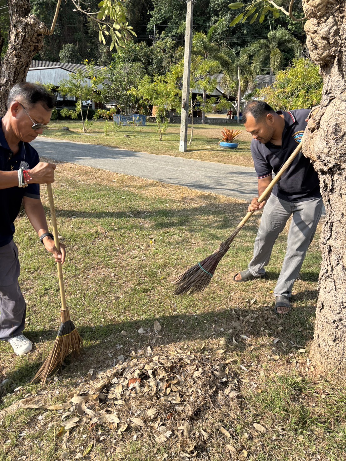 รูป ประกอบบทความ5