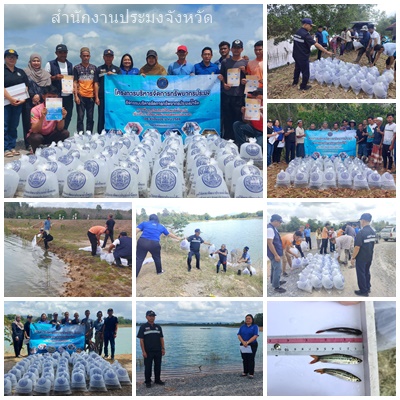 ผลการปฏิบัติงานประจำวันพฤหัสบดีที่ 5 กุมภาพันธ์ 2569