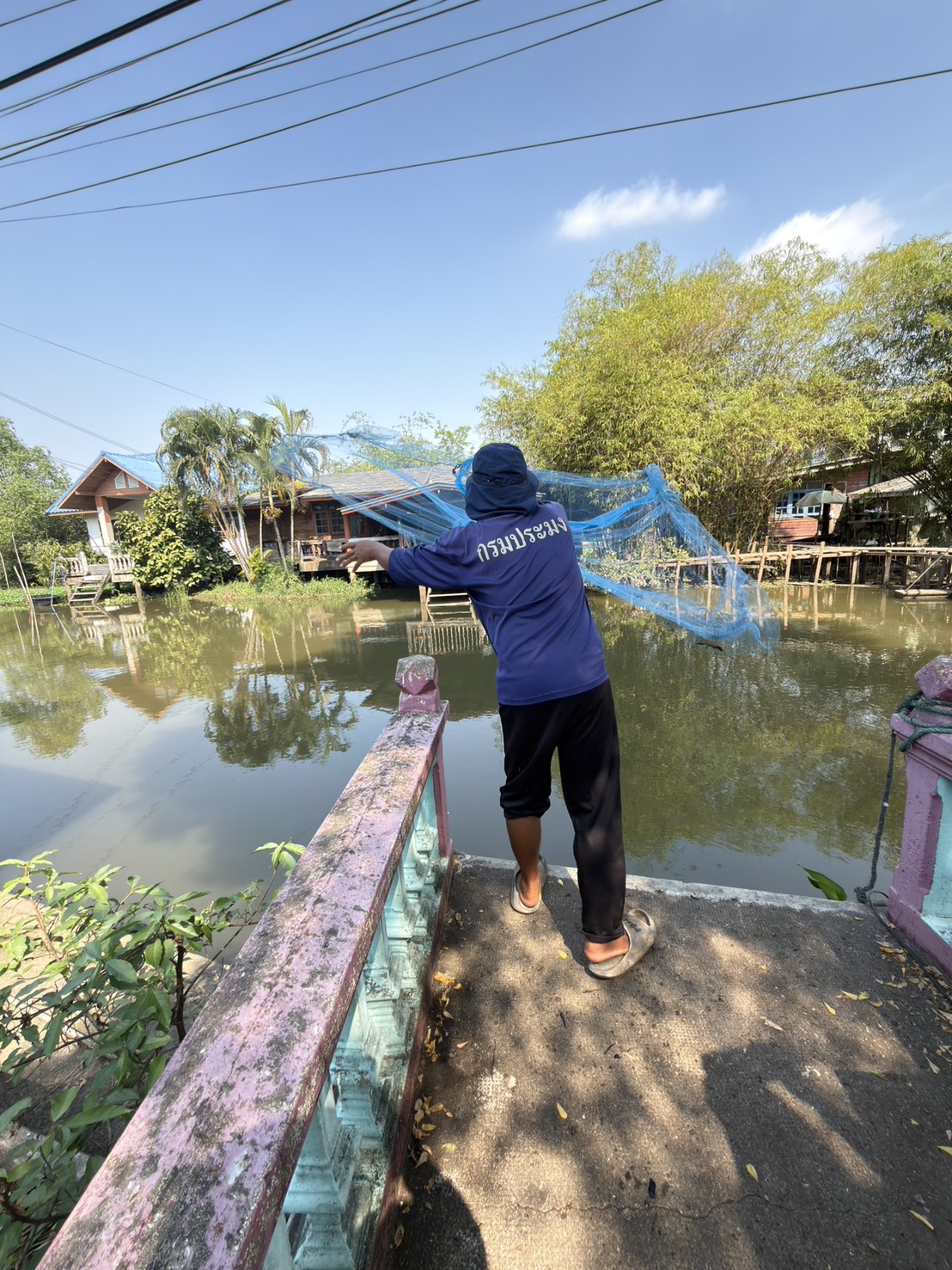 (อ.บางกรวย) การสำรวจปลาหมอคางดำ ตามแผนการแก้ไขปัญหาการแพร่ระบาดของปลาหมอคางดำจังหวัดนนทบุรี