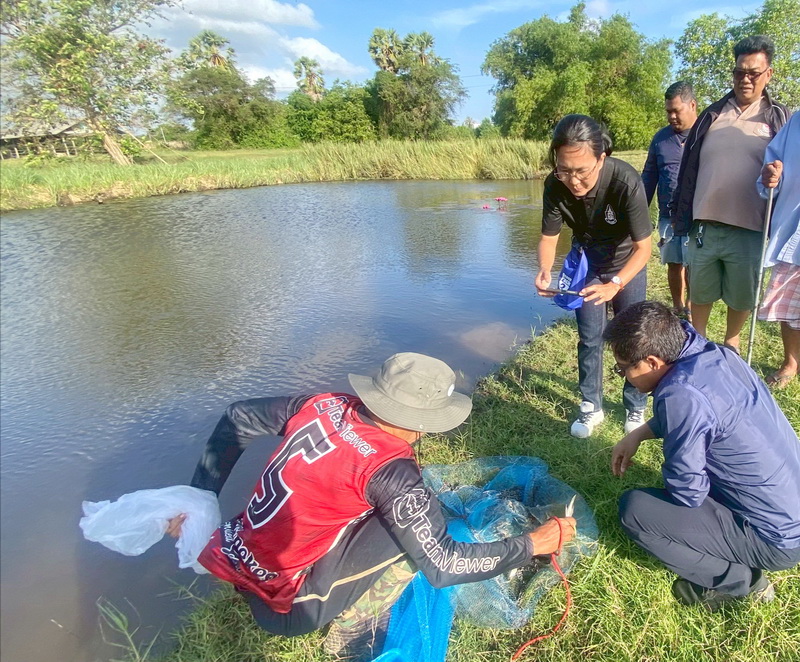 รูป ประกอบบทความ4