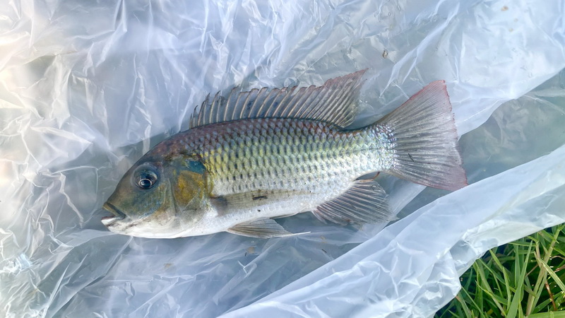 รูป ประกอบบทความ8