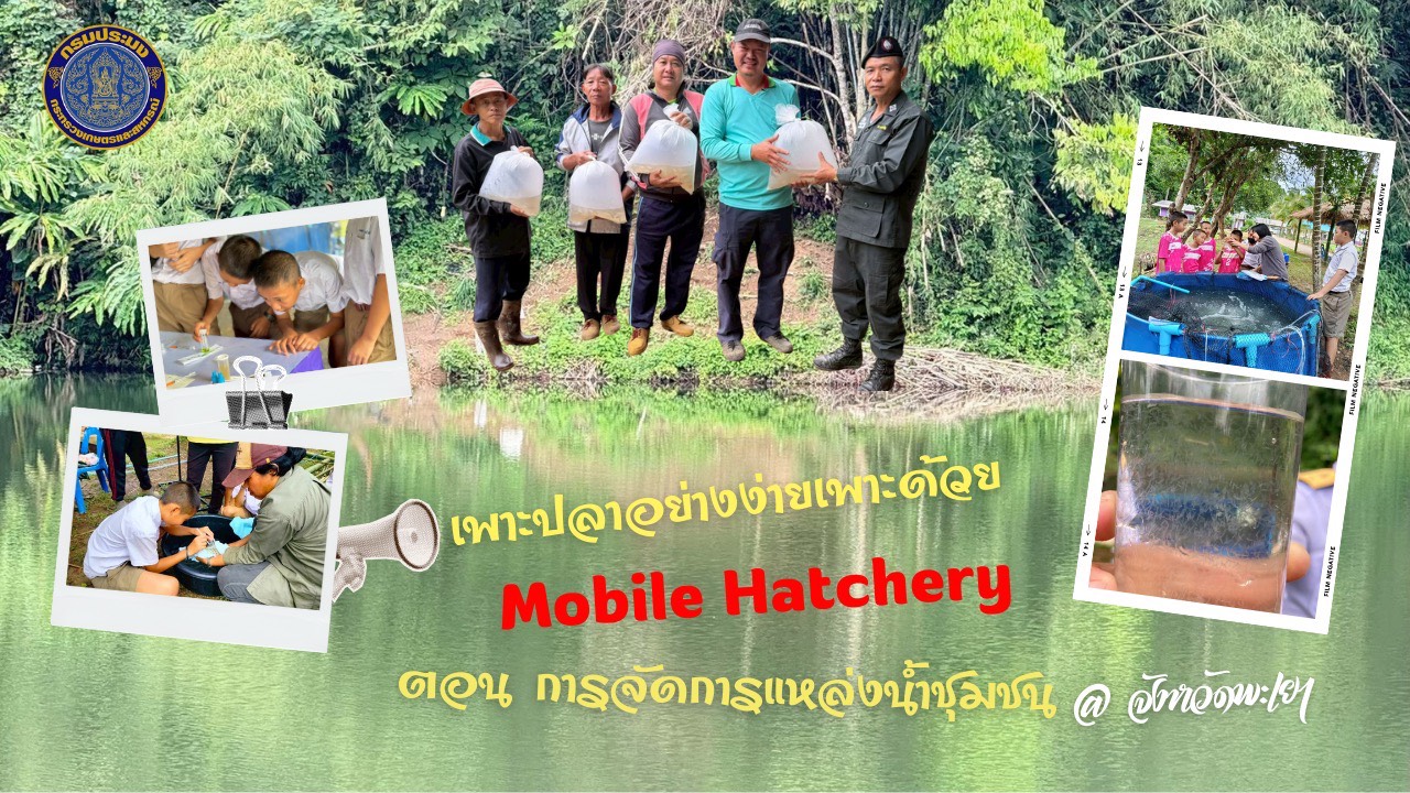 สื่อวีดิทัศน์ การเพาะปลาอย่างง