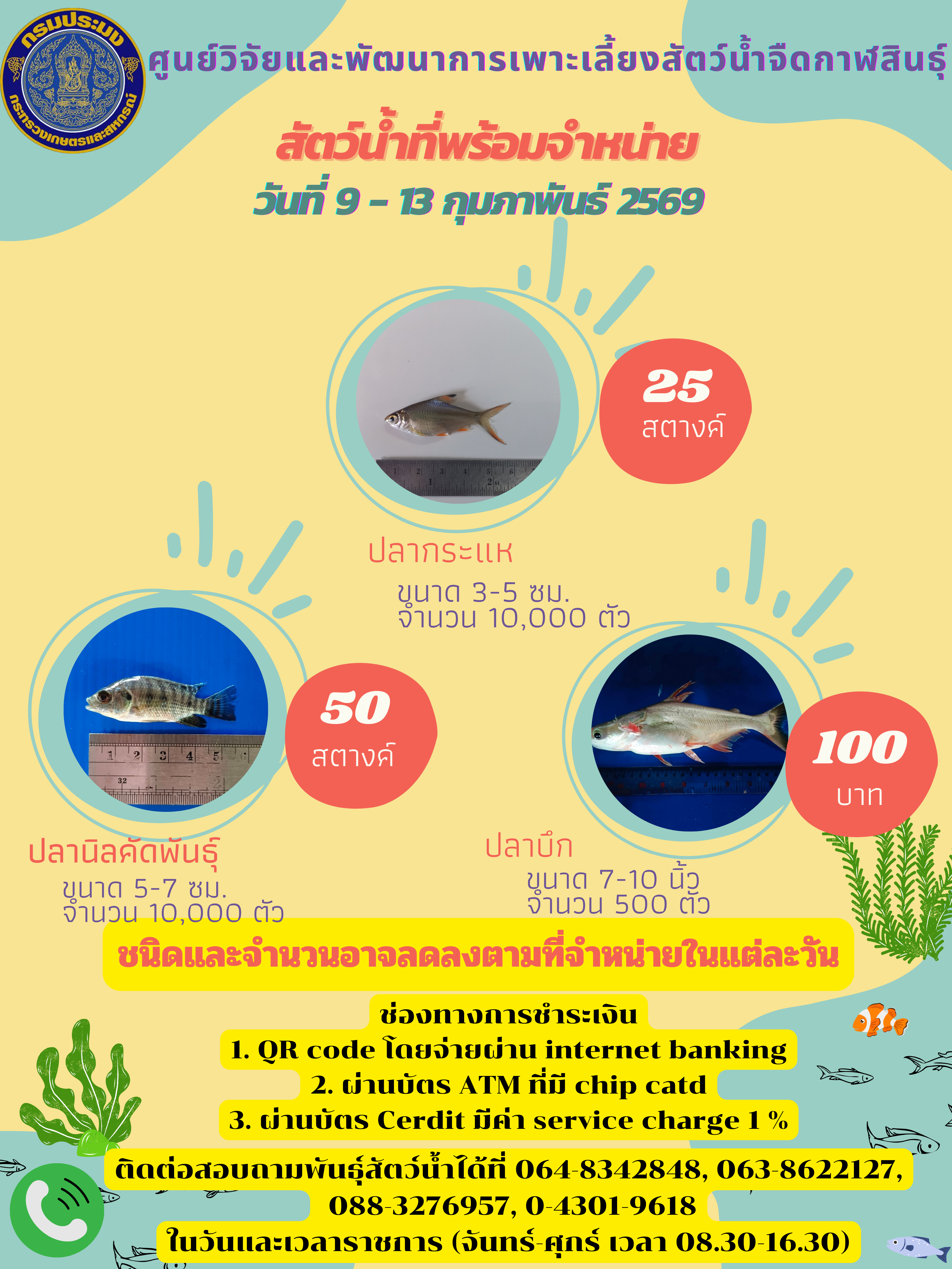 สัตว์น้ำที่พร้อมจำหน่าย