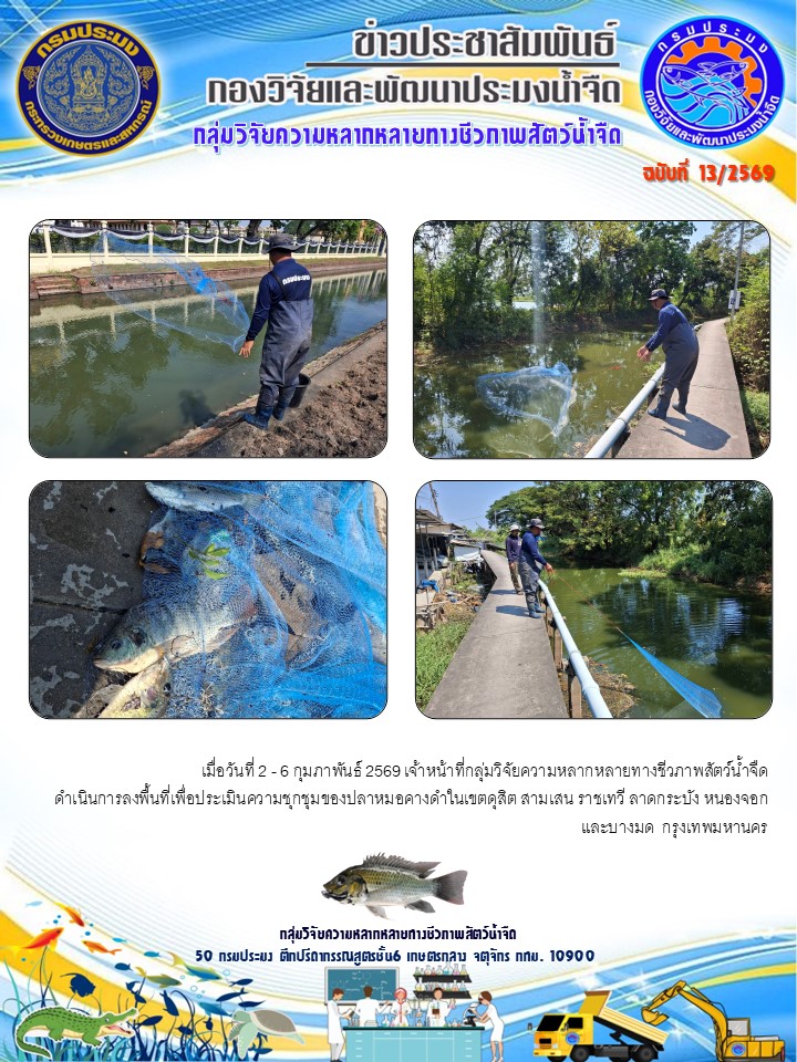 วันที่ 2 - 6 กุมภาพันธ์ 2569 เจ้าหน้าที่กลุ่มวิจัยความหลากหลายทางชีวภาพสัตว์น้ำจืด ดำเนินการลงพื้นที่เพื่อประเมินความชุกชุมของปลาหมอคางดำในเขตดุสิต สามเสน ราชเทวี ลาดกระบัง หนองจอก  และบางมด  กรุงเทพมหานคร