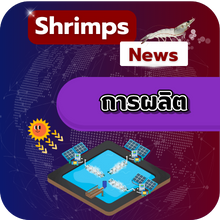 Catch & Culture Review: โรคกุ้ง AHPND แพร่ผ่านอากาศได้หรือไม่