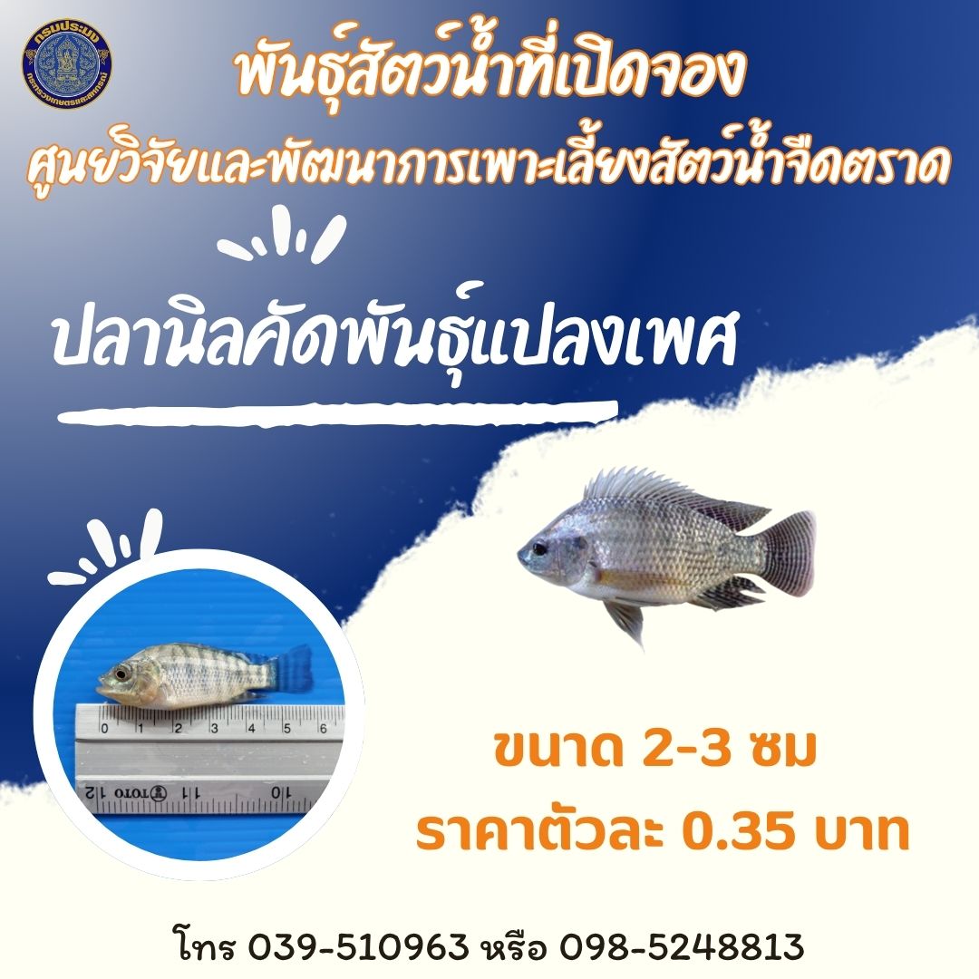 พันธุ์สัตว์น้ำที่เปิดจอง  ประจำเดือน กุมภาพันธ์  2569 