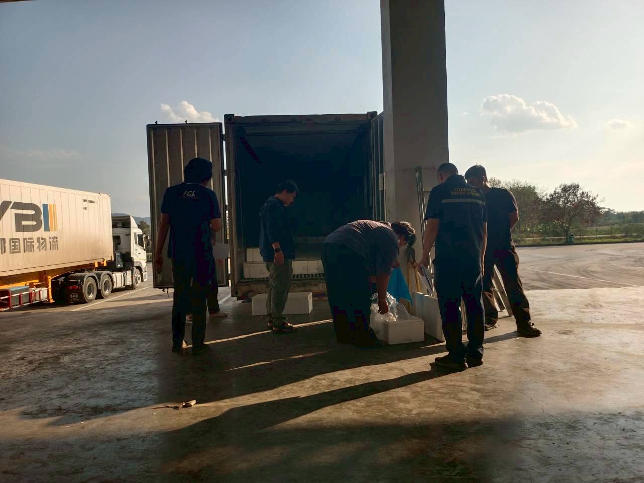 เจ้าหน้าที่ศูนย์บริหารจัดการด่านตรวจประมงเขต 1 (เชียงราย) ตรวจสอบสินค้าปลาเทราต์ (Rainbow trout) ทั้งตัวแช่เย็น นำเข้ามาจาก สปป.ลาว ผ่านทางสะพานมิตรภาพ ไทย – ลาว แห่งที่ 4