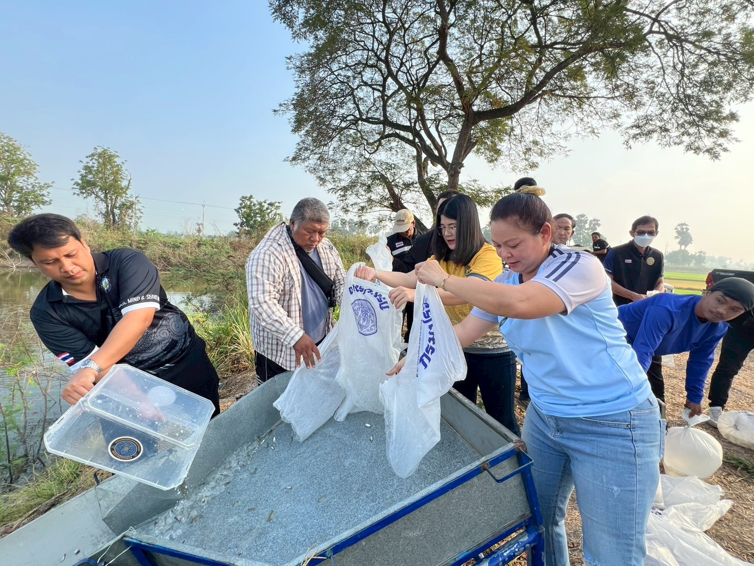 ร่วมปล่อยพันธุ์สัตว์น้ำเศรษฐกิจ 4 ชนิด ได้แก่ พันธุ์ปลาปลานิล พันธุ์ปลาตะเพียน พันธุ์ปลาเกล็ดเงิน และพันธุ์ปลาชะโอน ณ แหล่งน้ำทั้ง 5 แห่ง ในจังหวัดอ่างทอง..คลิก