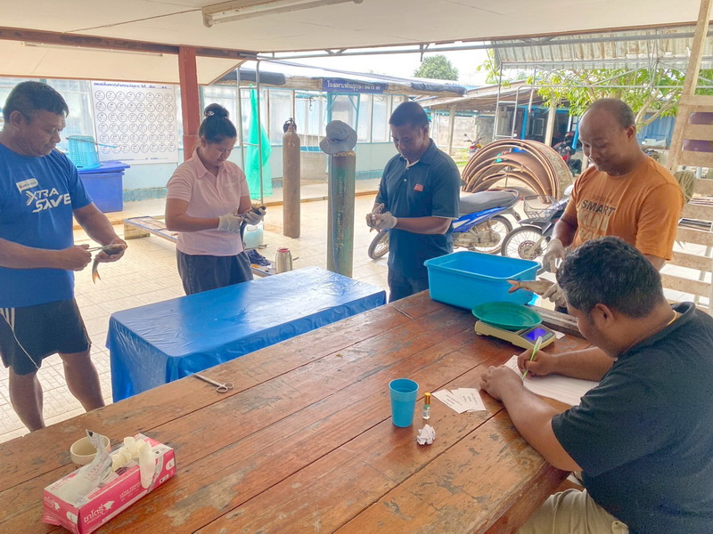 ดำเนินการสำรวจตัวอย่างปลาน้ำจืดมีไข่ ในพื้นที่ทะเลน้อยจังหวัดพัทลุง..คลิก