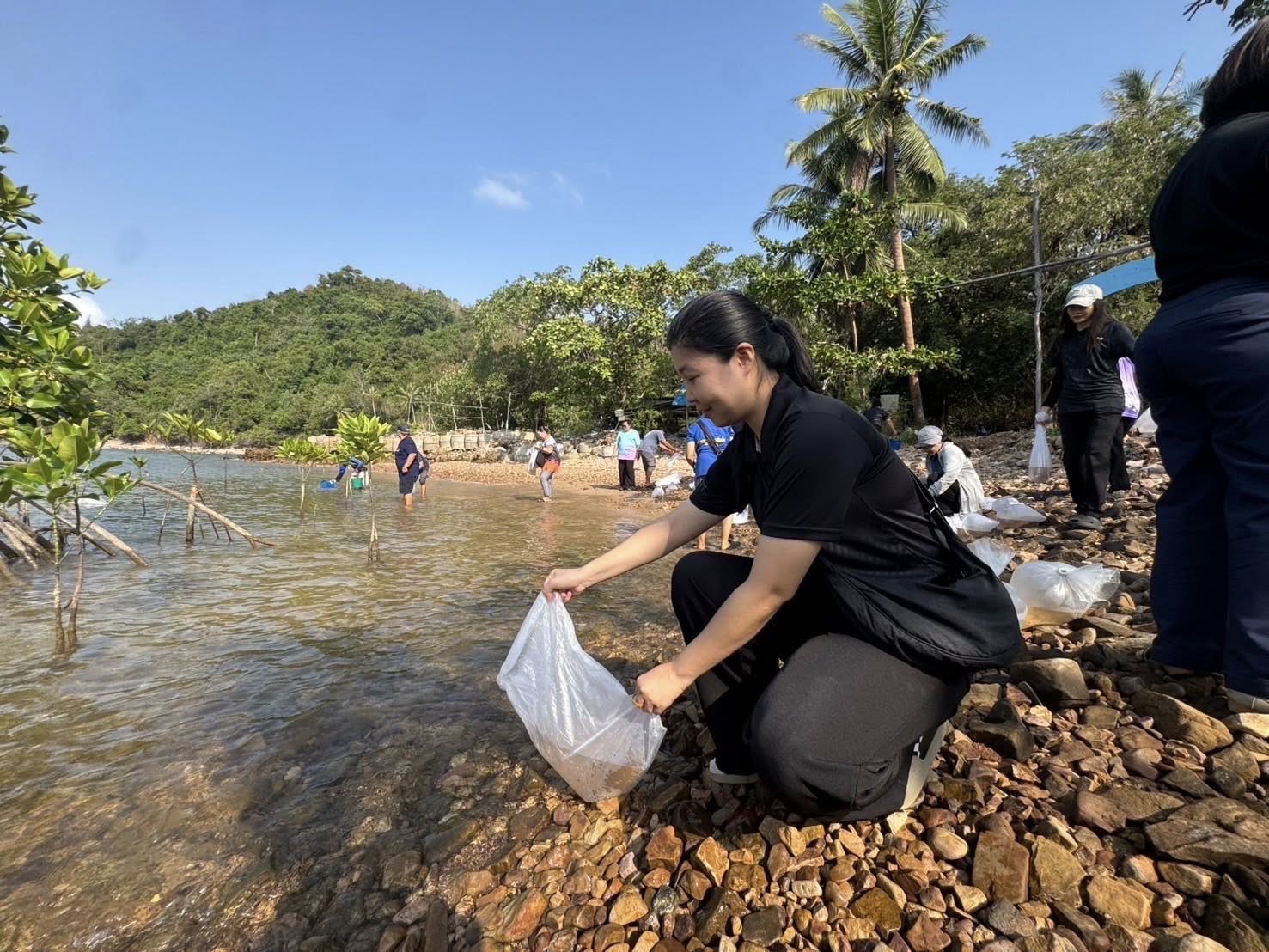 รูป ประกอบบทความ7