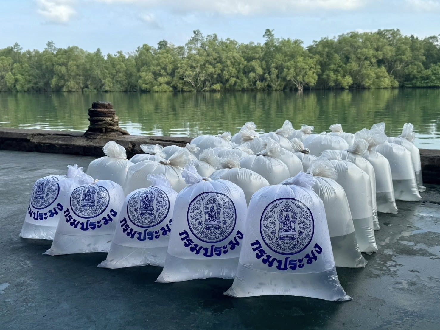 รูป ประกอบบทความ1