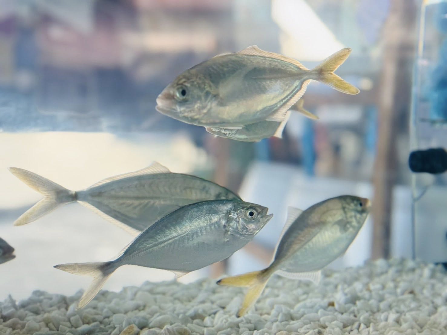 รูป ประกอบบทความ7