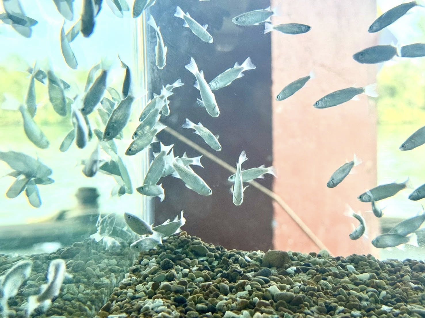 รูป ประกอบบทความ10