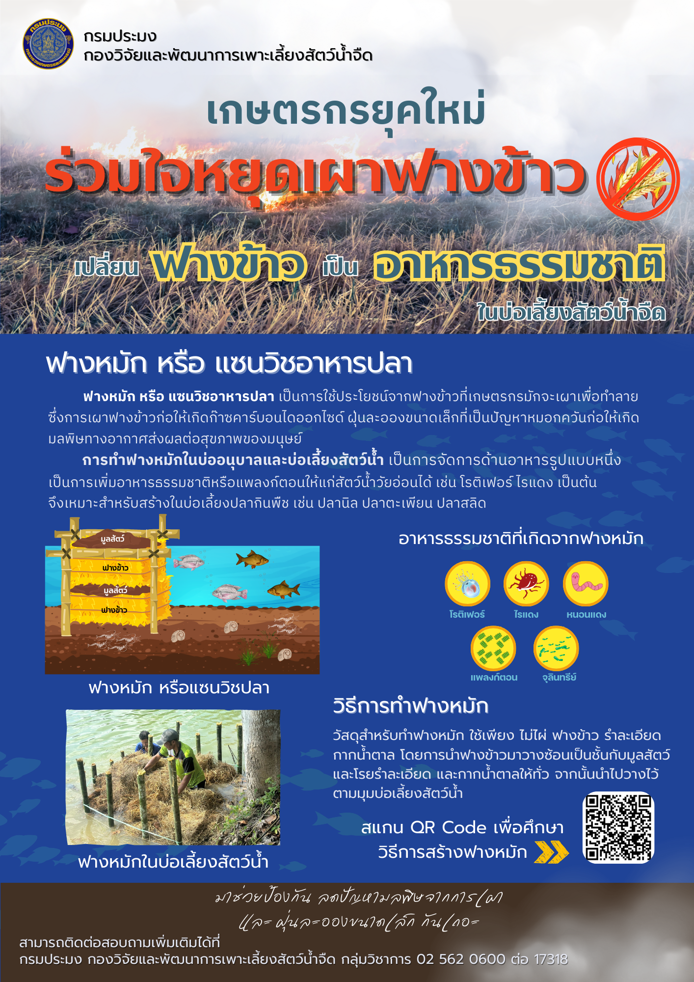 การทำฟางหมักในบ่ออนุบาลและบ่อเลี้ยงสัตว์น้ำ..คลิก