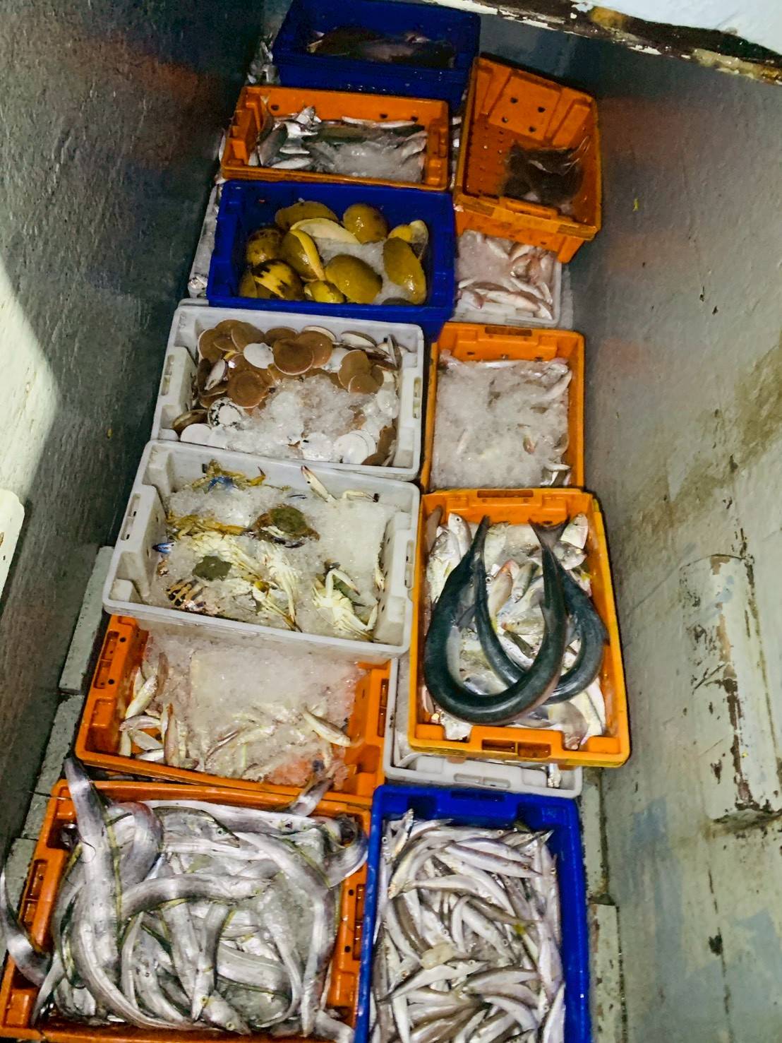 ออกปฏิบัติงานการควบคุมเฝ้าระวังการทำประมงพื้นที่ทะเลนอกชายฝั่ง