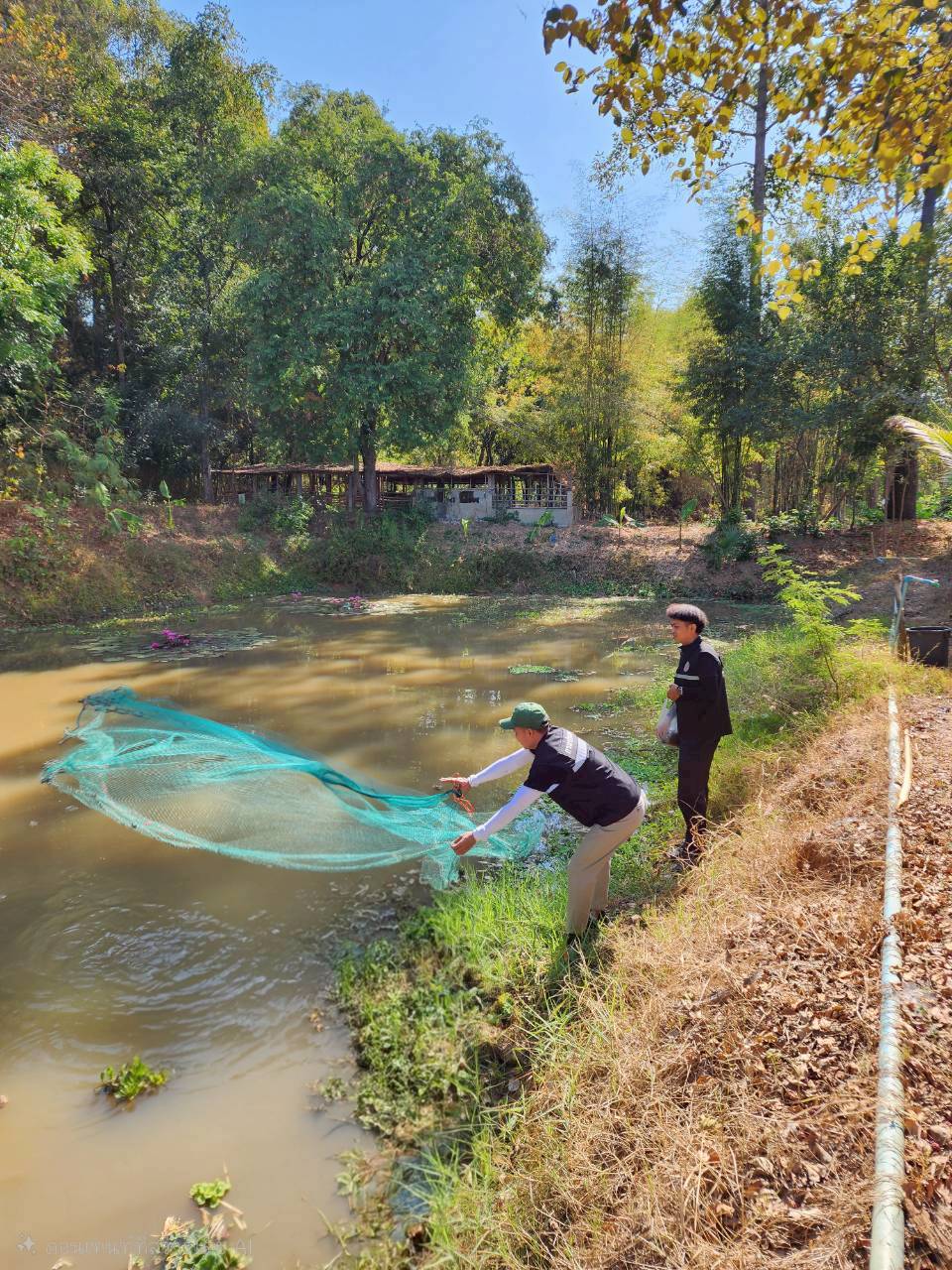 รูป ประกอบบทความ18