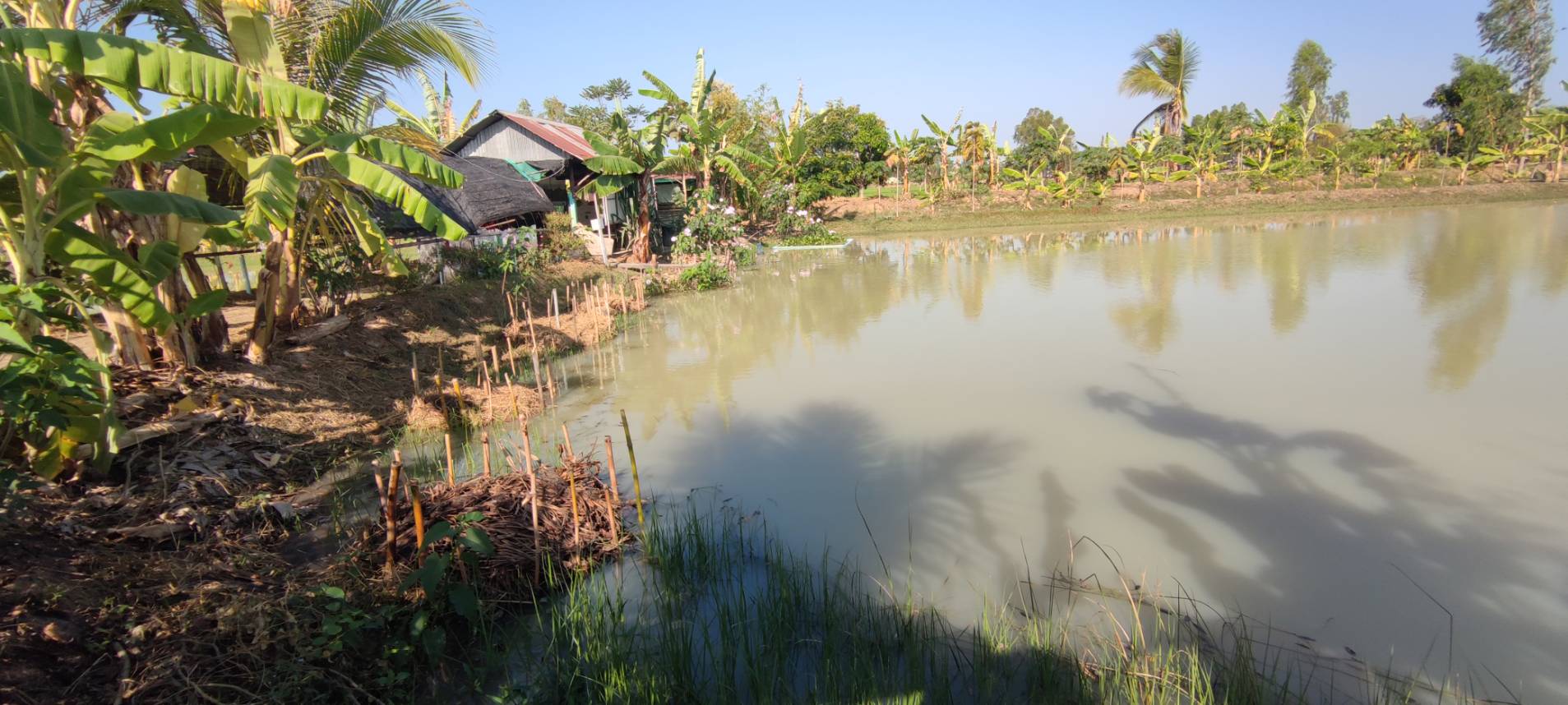 รูป ประกอบบทความ14