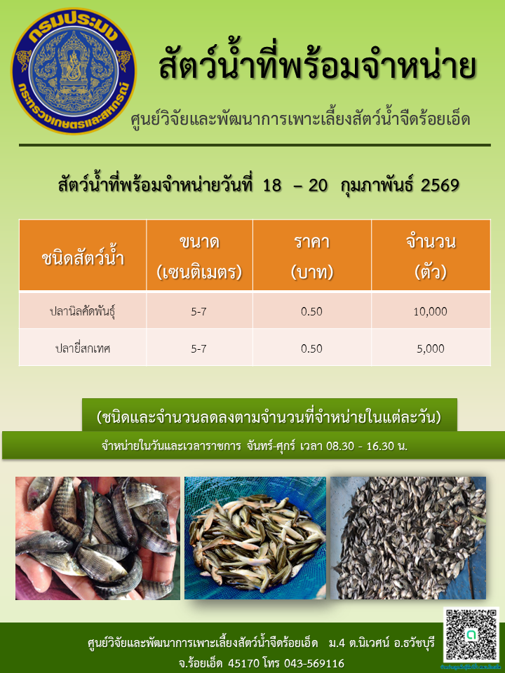 สัตว์น้ำที่พร้อมจำหน่ายวันที่ 18  – 20  กุมภาพันธ์ 2569