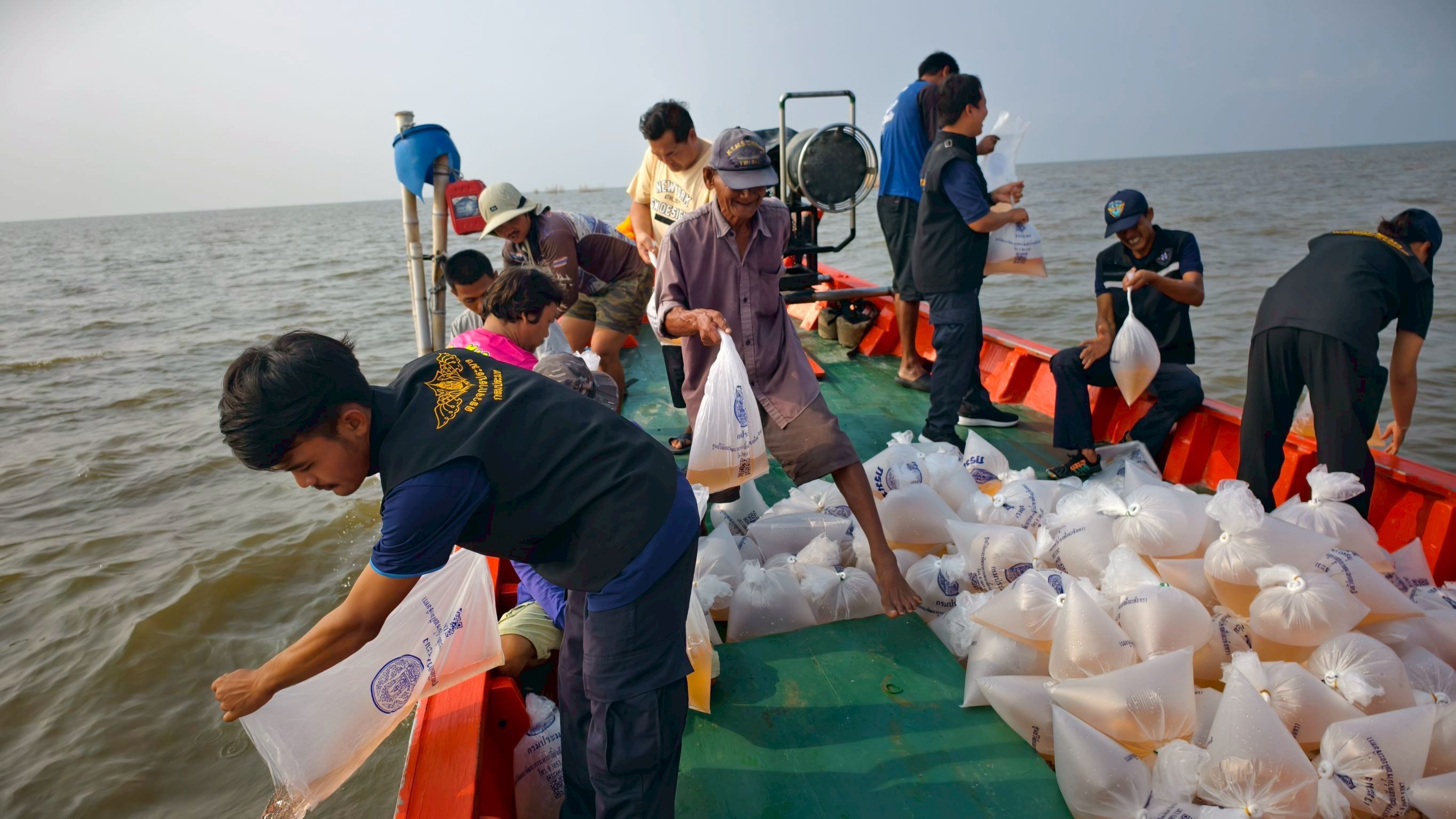 จัดกิจกรรมปล่อยพันธุ์สัตว์น้ำ (กุ้งแชบ๊วย) จำนวน 1,400,000 ตัว