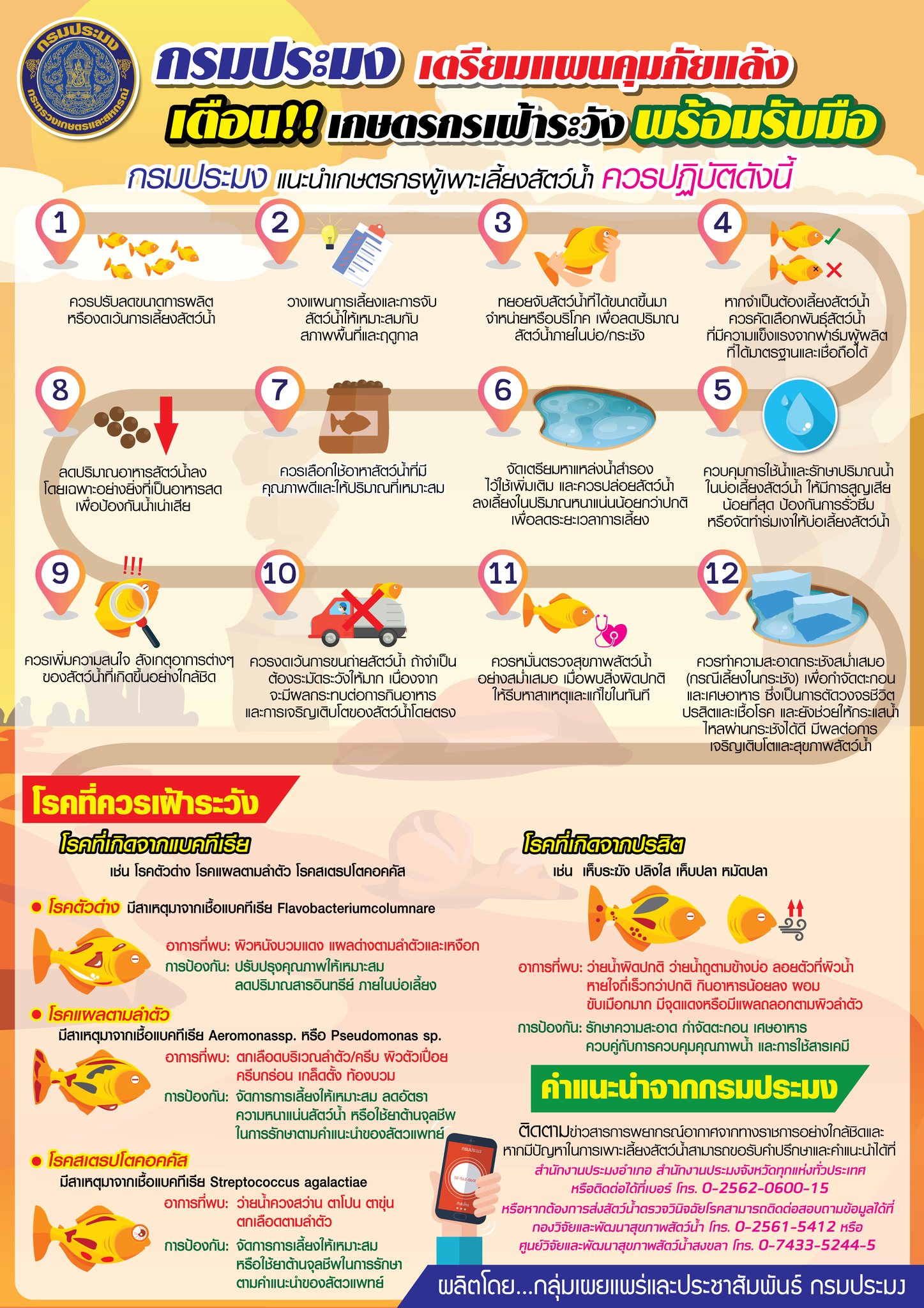 หน้าร้อนนี้... น้องปลาขอส่งสัญญาณเตือน!..คลิก