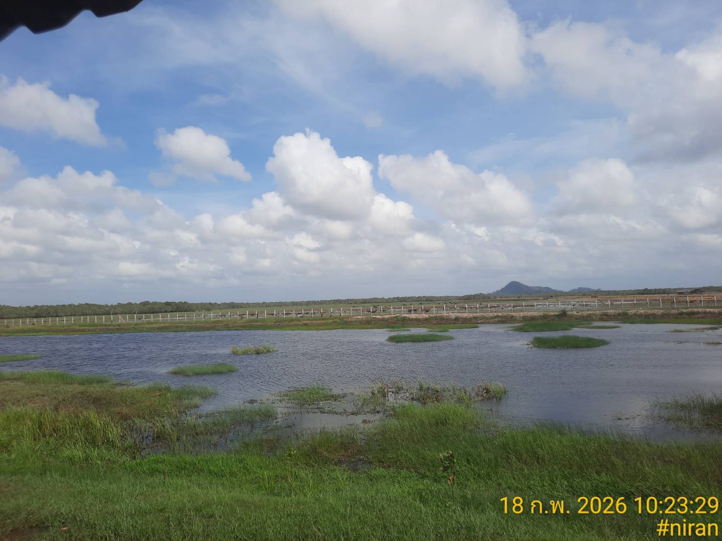 กลุ่มบริหารจัดการด้านการประมง พร้อมด้วย  ประมงอำเภอควนขนุน ลงพื้นที่โรงสอนควาย บ้านหัวป่าเขียว  หมู่ที่ 7 ตำบลทะเลน้อย จังหวัดพัทลุง (ด้านหลังอาคารศิลปาชีพบ้านหัวป่าเขียว) พบปะชาวประมง และกลุ่มผู้เลี้ยงควายปลักในเขตพื้นที่ชุมน้ำทะเลน้อย เพื่อประชาสัมพันธ์เกี่ยวกับการห้ามใช้เครื่องมือประมงผิดกฎหมาย การตรวจสอบแนวเขตอนุรักษ์ทรัพยากรสัตว์น้ำ 