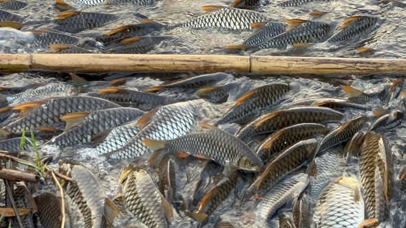 หนึ่งปี มีครั้งเดียว ปรากฏการณ์ธรรม..อ่านต่อ