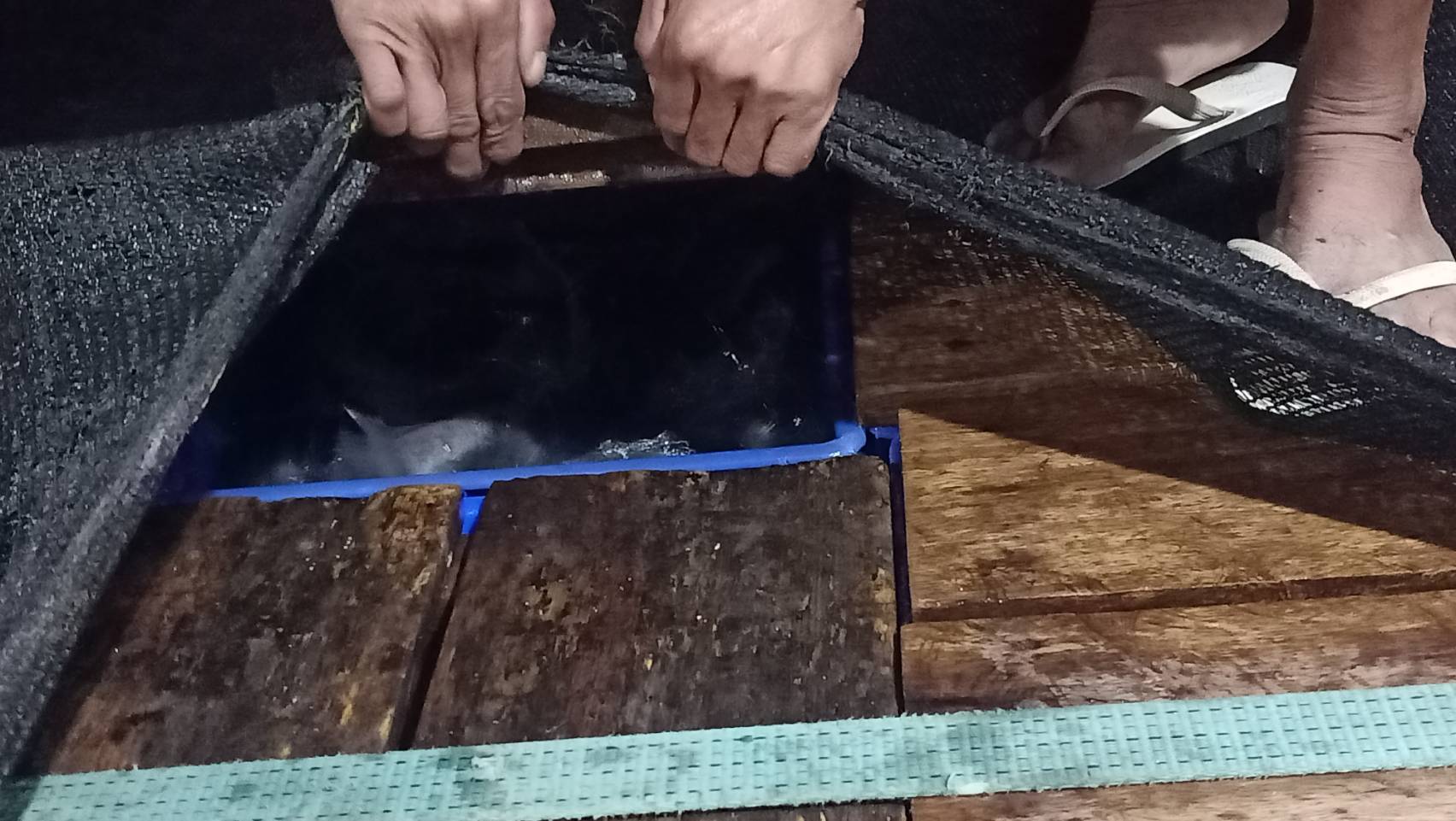 ข่าวกิจกรรม วันที่ 20 กุมภาพันธ์ 2569 เจ้าหน้าที่ด่านตรวจประมงนครพนม ตรวจสอบสินค้าสัตว์น้ำส่งออกชนิด ปลาดุกแอฟริกา มีชีวิต ณ อาคารตรวจสอบสินค้าและเก็บของกลางด่านศุลกากรนครพนม จ.นครพนม..คลิก