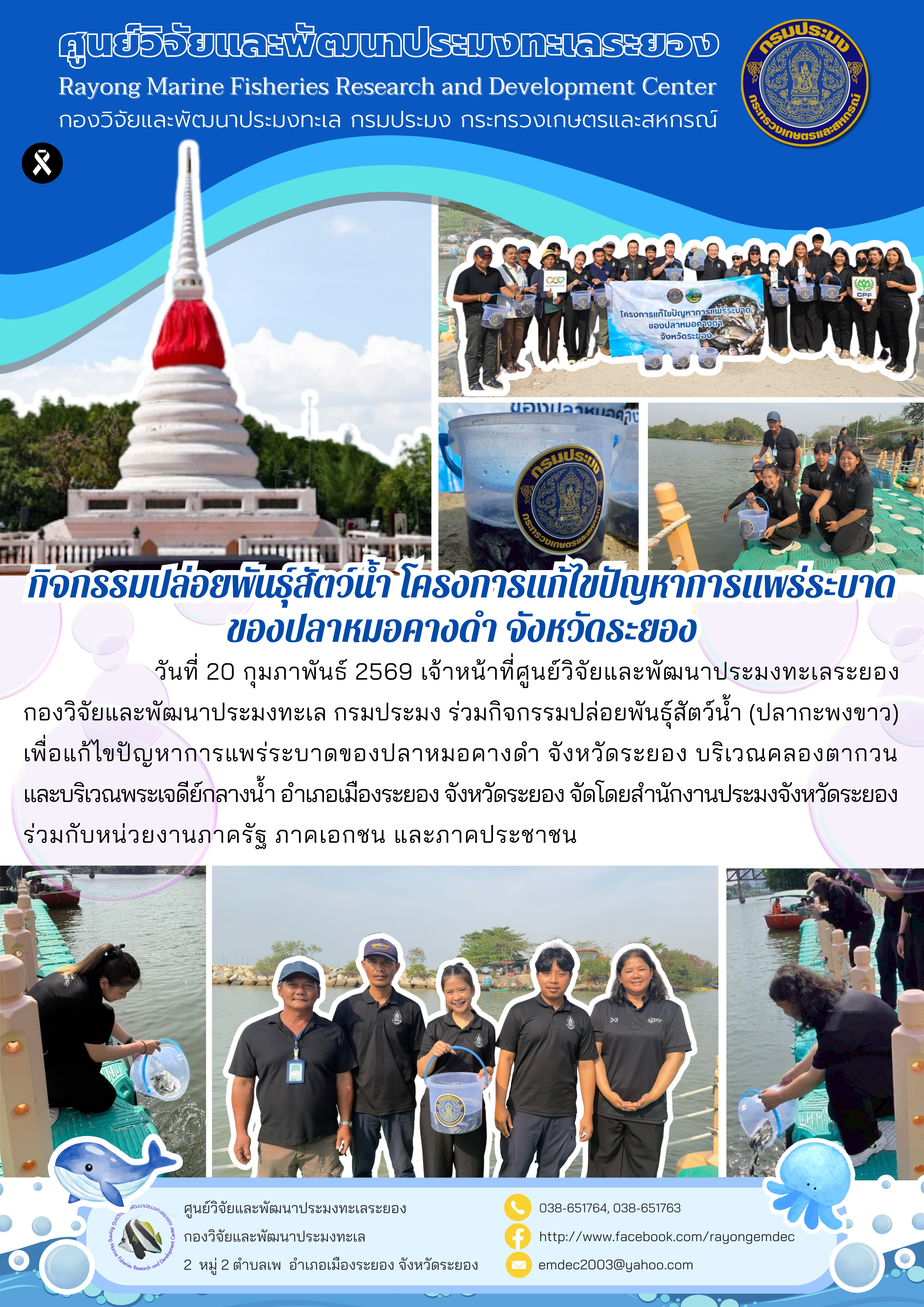 กิจกรรมปล่อยพันธุ์สัตว์น้ำ โครงการแก้ไขปัญหาการแพร่ระบาดของปลาหมอคางดำ จังหวัดระยอง