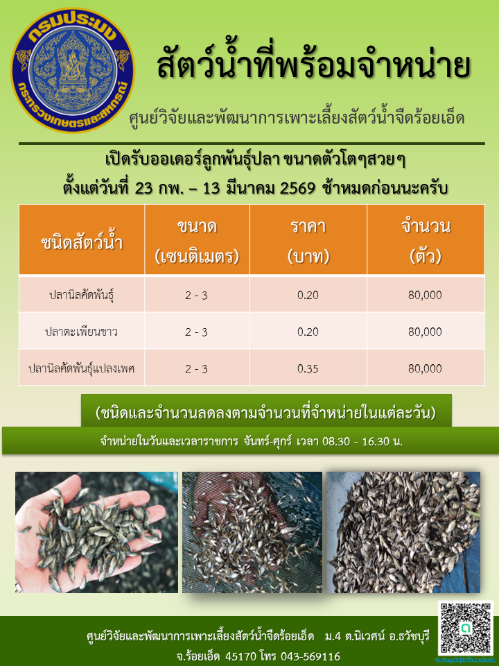 เปิดรับออเดอร์ลูกพันธุ์ปลา ขนาดตัวโตๆสวยๆ ตั้งแต่วันที่ 23 กพ. – 13 มีนาคม 2569 ช้าหมดก่อนนะครับ