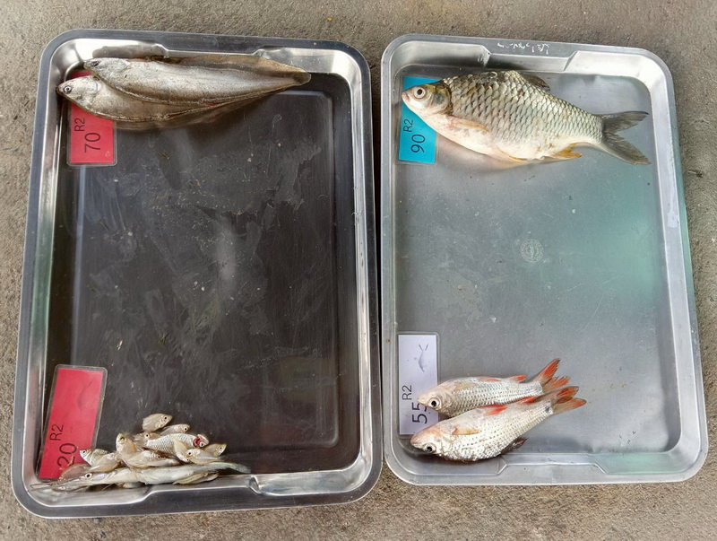 สำรวจพื้นที่ดำเนินการตามแผนอนุรักษ์และพัฒนาสิ่งแวดล้อม จังหวัดนครศรีธรรมราช..คลิก