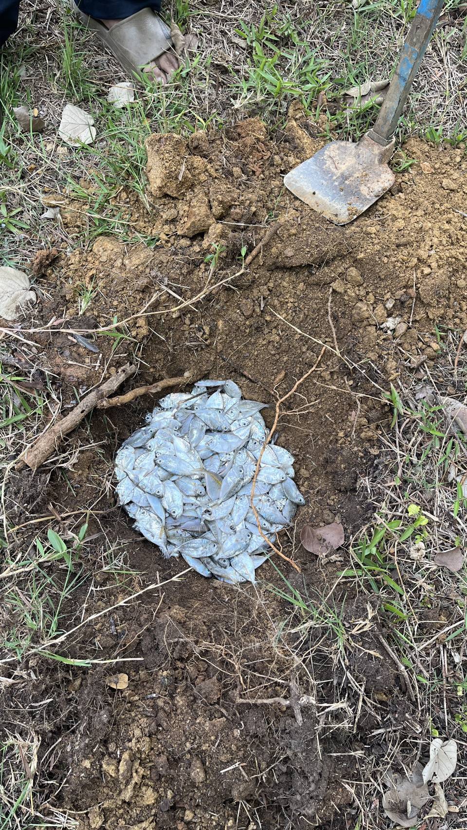 ออกปฏิบัติงานควบคุมเฝ้าระวังการทำประมงพื้นที่ทะเลชายฝั่ง..คลิก