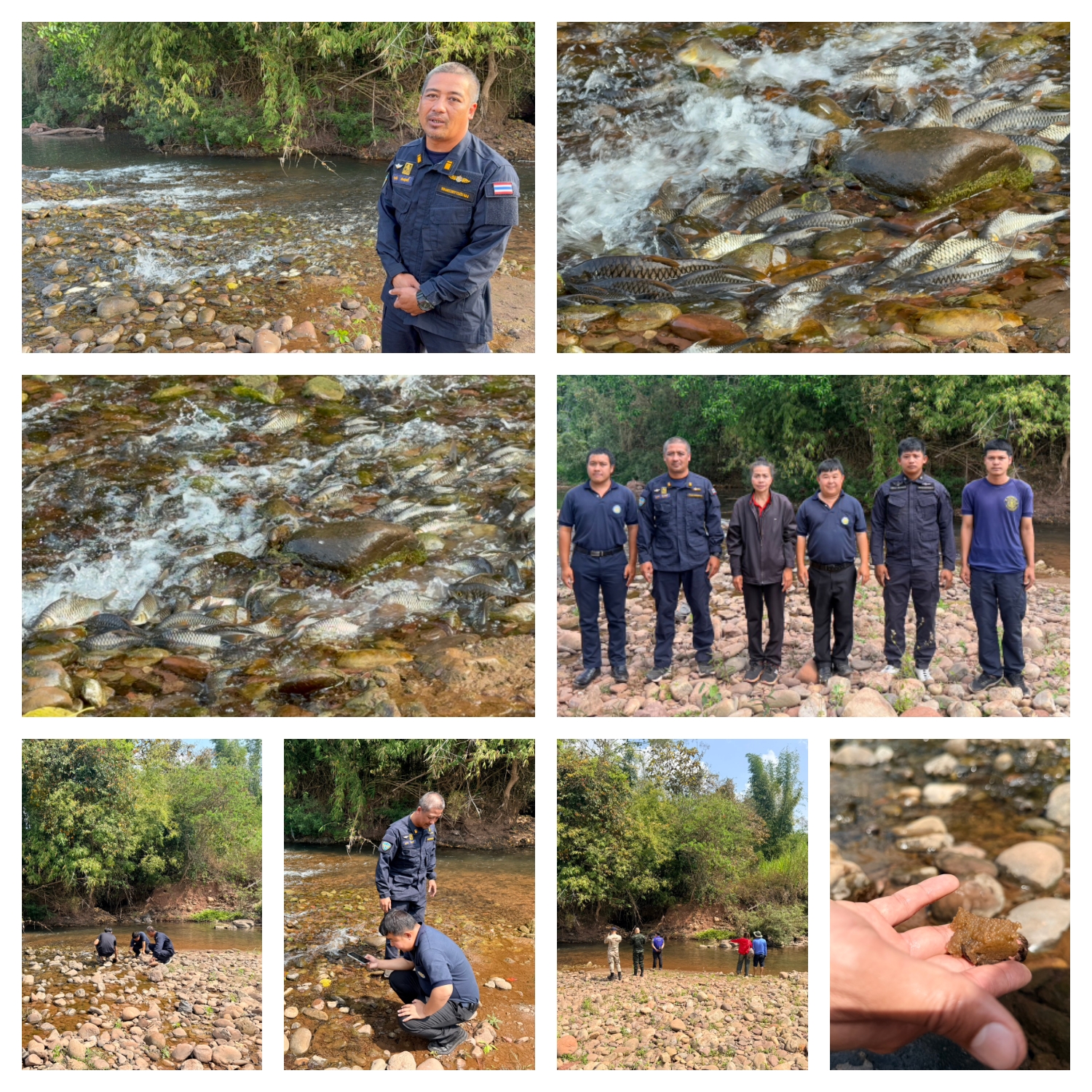 ออกปฏิบัติงานควบคุมปลาปีกแดงว่