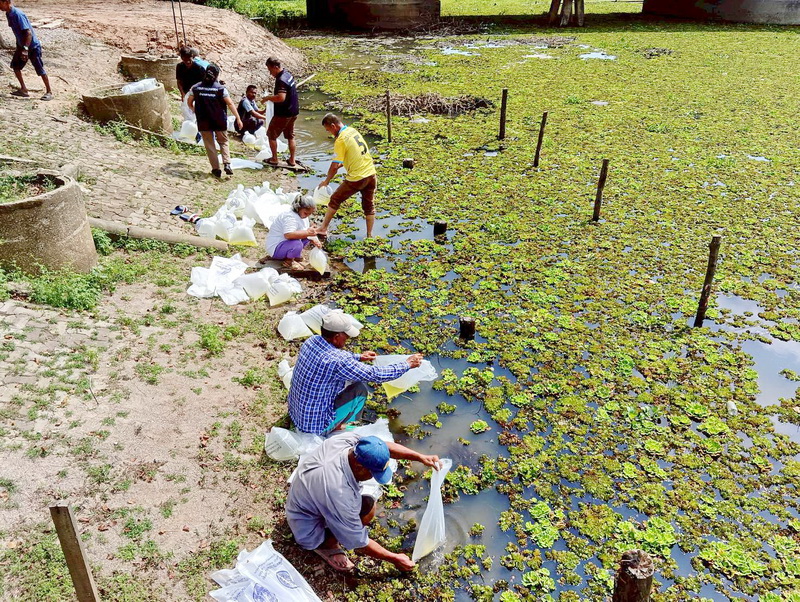 ร่วมปล่อยพันธุ์กุ้งก้ามกราม ลงสู่คลองท่าช้าง อ.ควนขนุน จ.พัทลุง