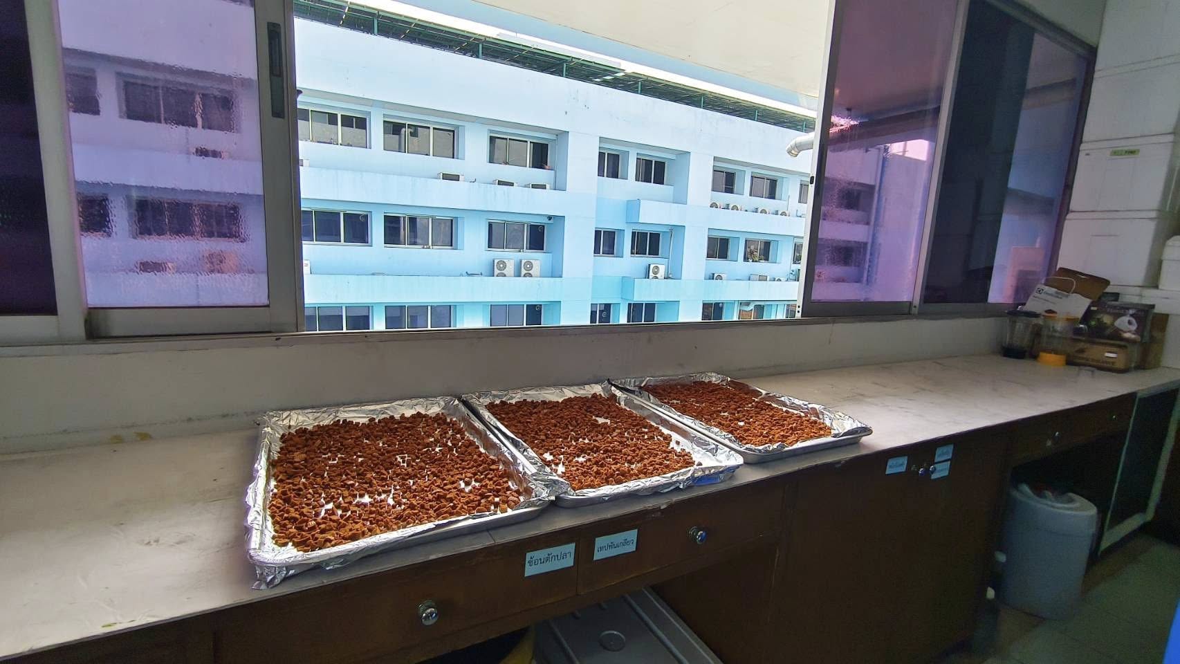 จัดอบรมหลักสูตร “การพัฒนา Young Smart Farmer ด้านสัตว์น้ำสวยงาม” 