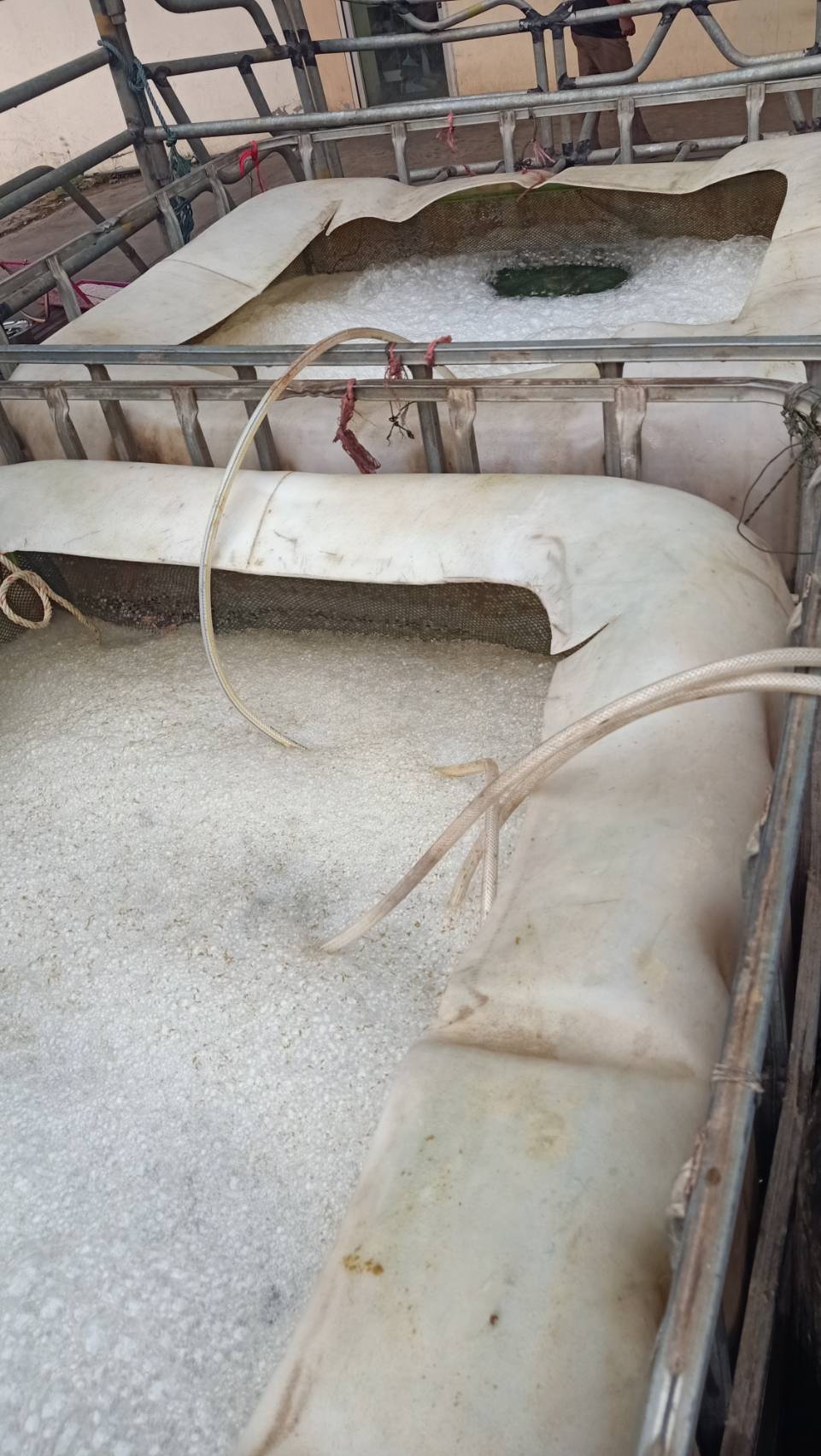 ข่าวกิจกรรม วันที่ 24 กุมภาพันธ์ 2569 เจ้าหน้าที่ด่านตรวจประมงนครพนม ตรวจสอบสินค้าสัตว์น้ำส่งออกชนิด ลูกปลานิล มีชีวิต ณ อาคารตรวจสอบสินค้าและเก็บของกลางด่านศุลกากรนครพนม จ.นครพนม..คลิก