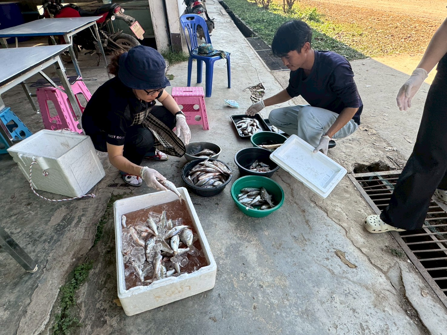 โครงการบริหารจัดการทรัพยากรประมง (โครงการน้ำแดง)