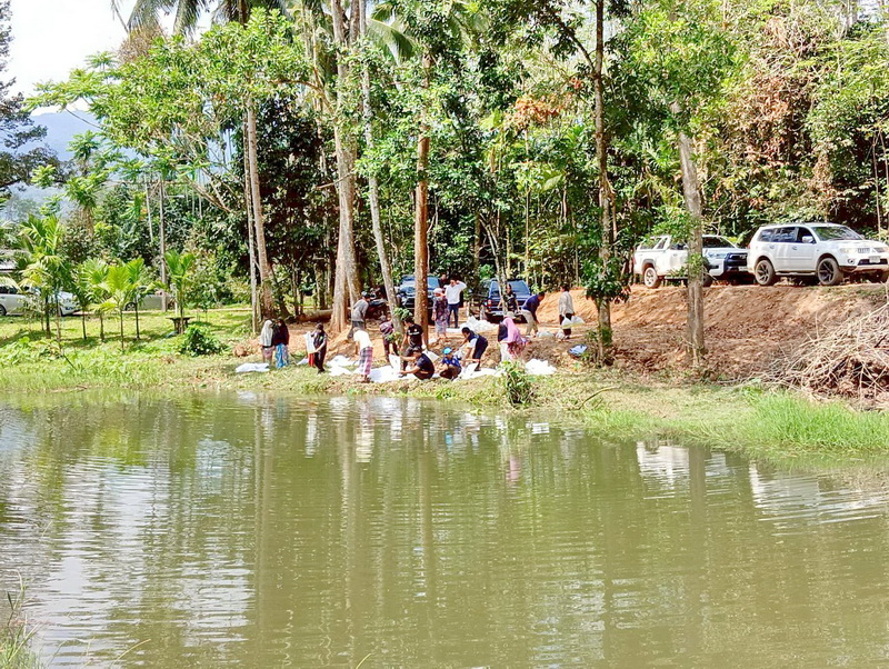 ร่วมปล่อยพันธุ์สัตว์น้ำ ลงสู่ฝายน้ำล้นบ้านในวัง อ.กงหรา จ.พัทลุง..คลิก