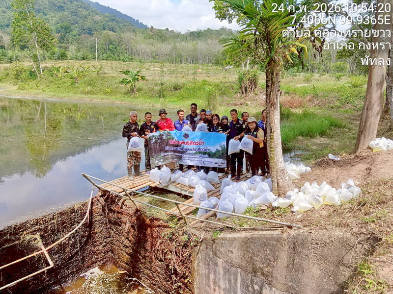 ร่วมปล่อยพันธุ์สัตว์น้ำ ลงสู่หนองห้วยยาง อ.กงหรา จ.พัทลุง