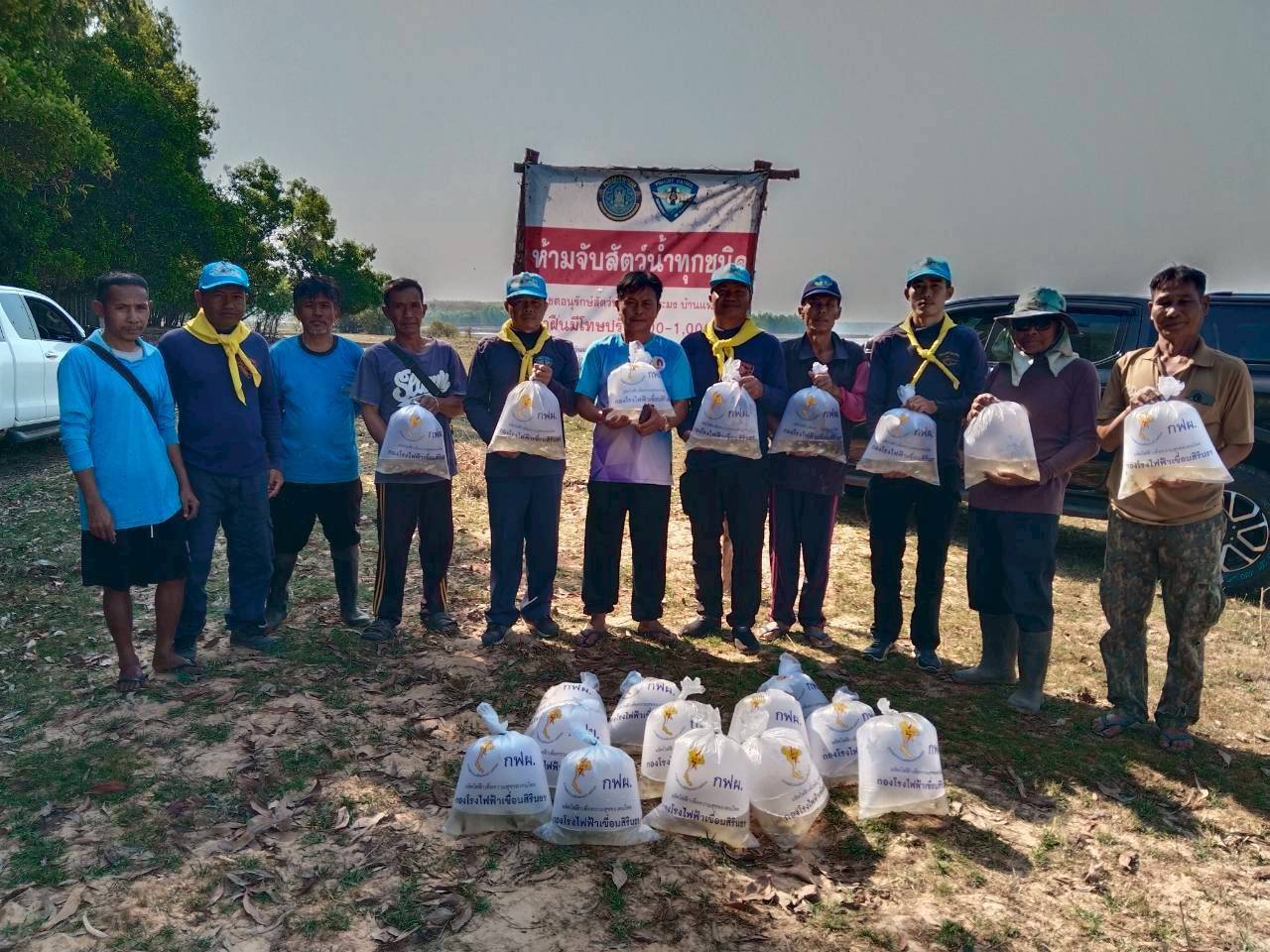 รูป ประกอบบทความ4