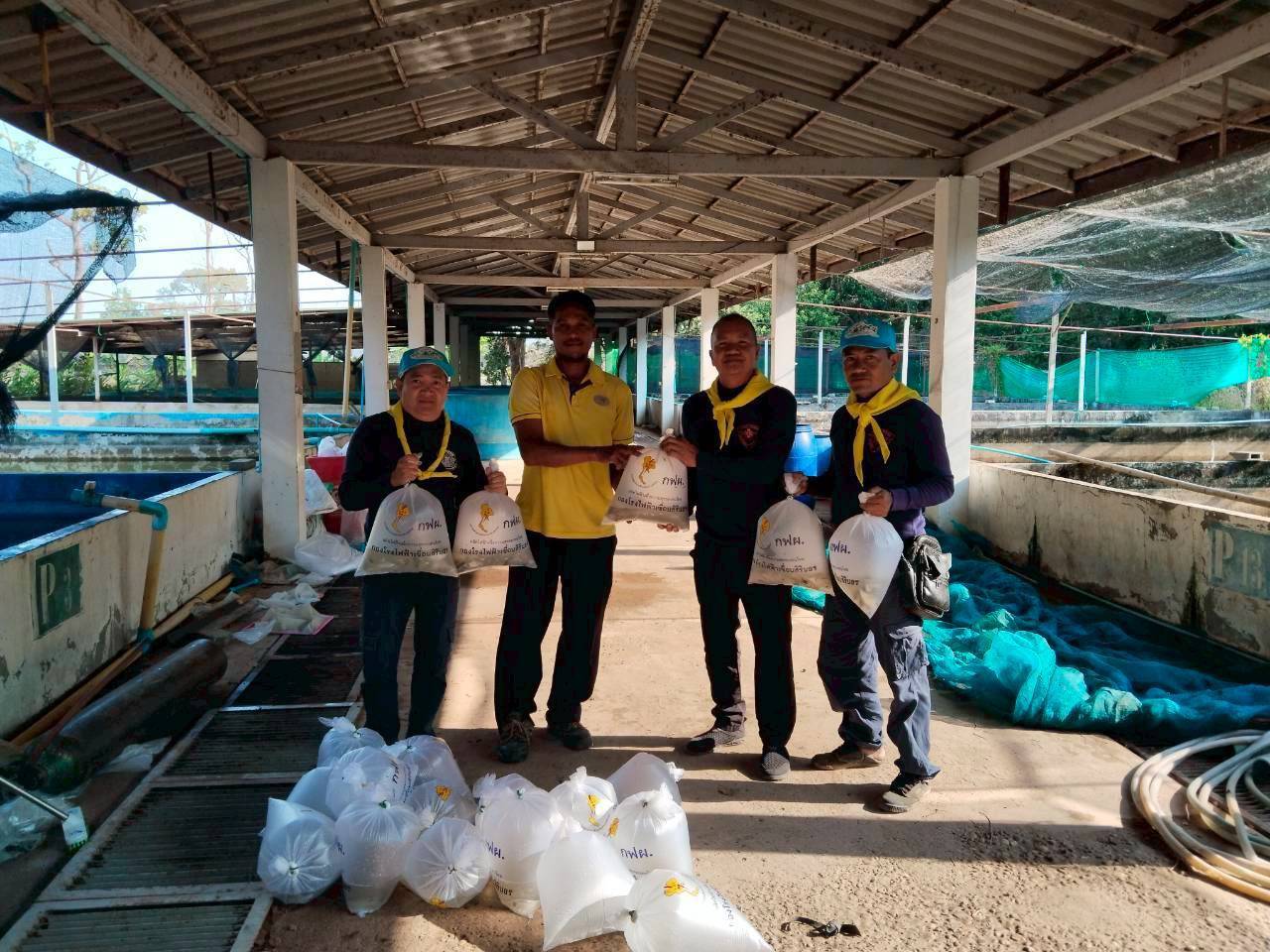 รูป ประกอบบทความ2