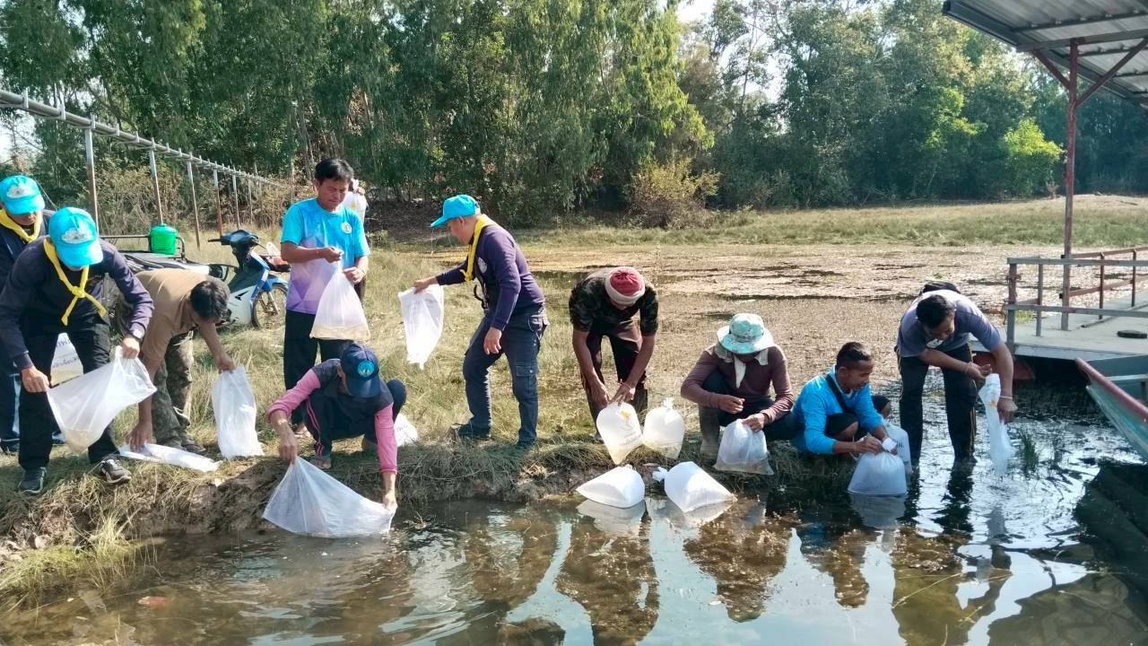 รูป ประกอบบทความ3