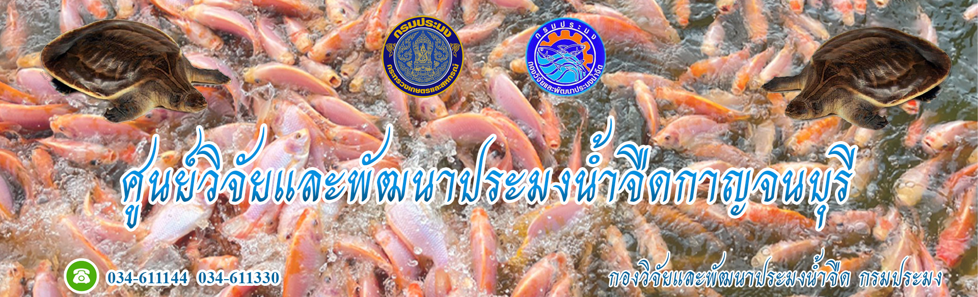 ศูนย์วิจัยเเละพัฒนาประมงน้ำจืดกาญจนบุรี