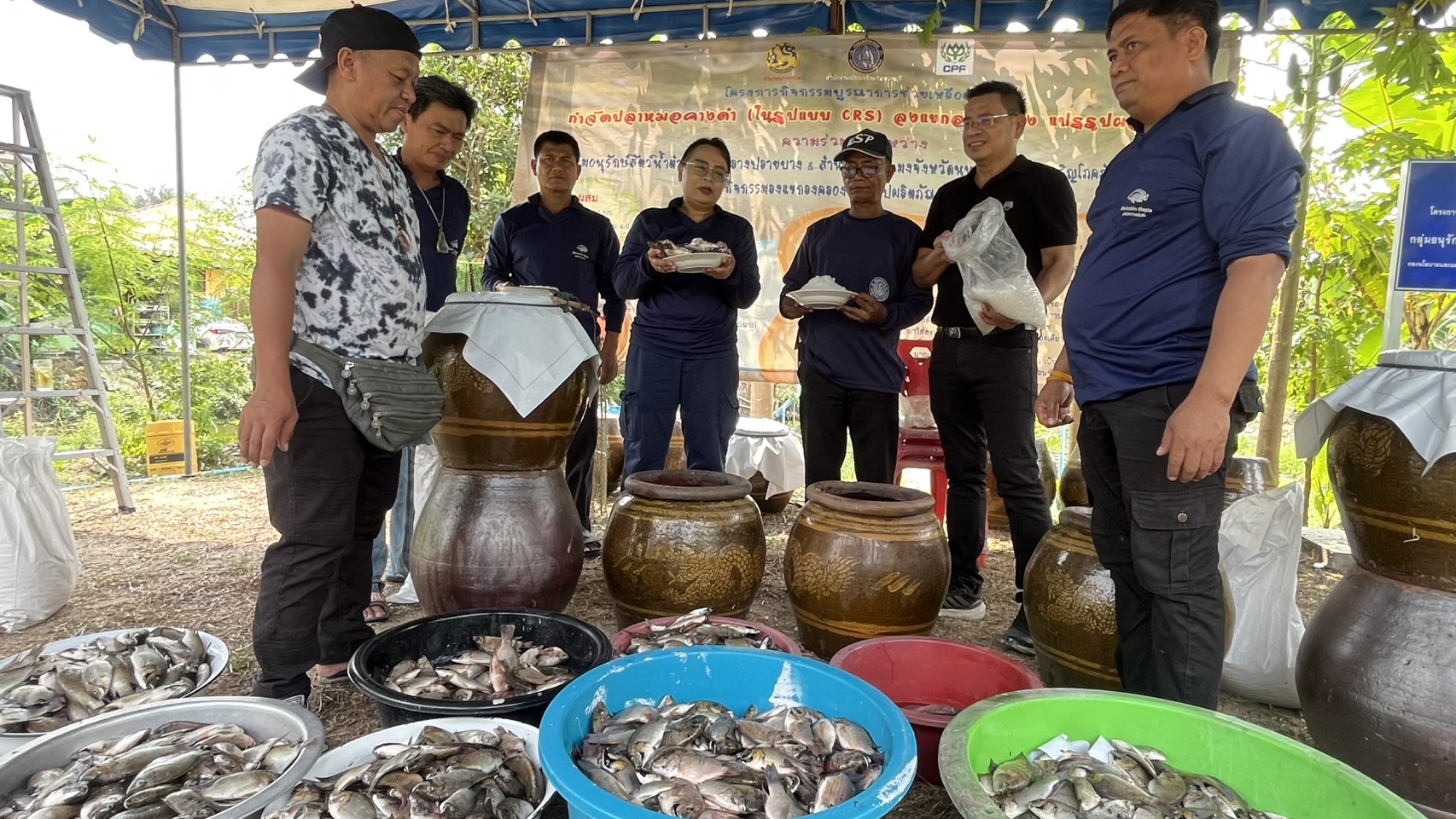 (อ.บางกรวย) กิจกรรมบูรณาการช่วยเหลือสังคมกำจัดปลาหมอคางดำในรูปแบบ CSR และแปรรูปผลิตภัณฑ์น้ำปลาจากปลาหมอคางดำ..คลิก