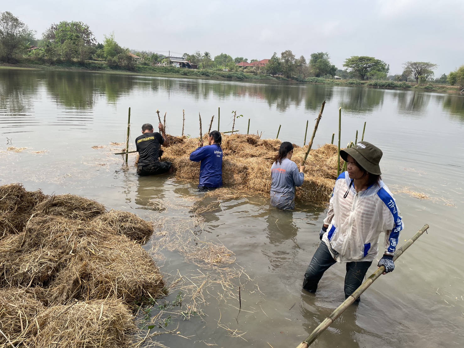 รูป ประกอบบทความ5