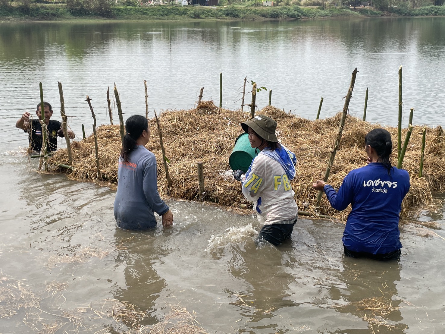 รูป ประกอบบทความ13