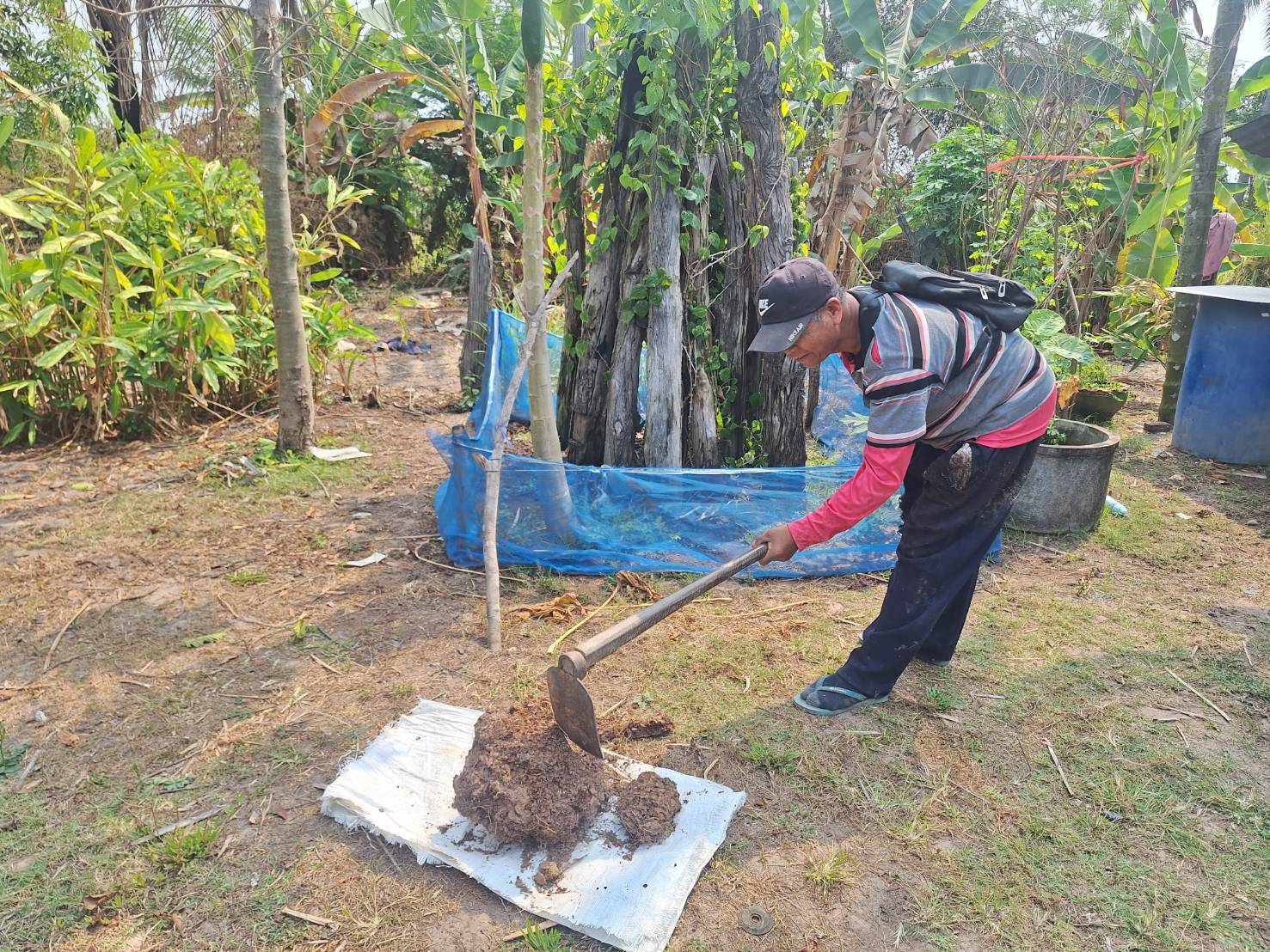 รูป ประกอบบทความ20