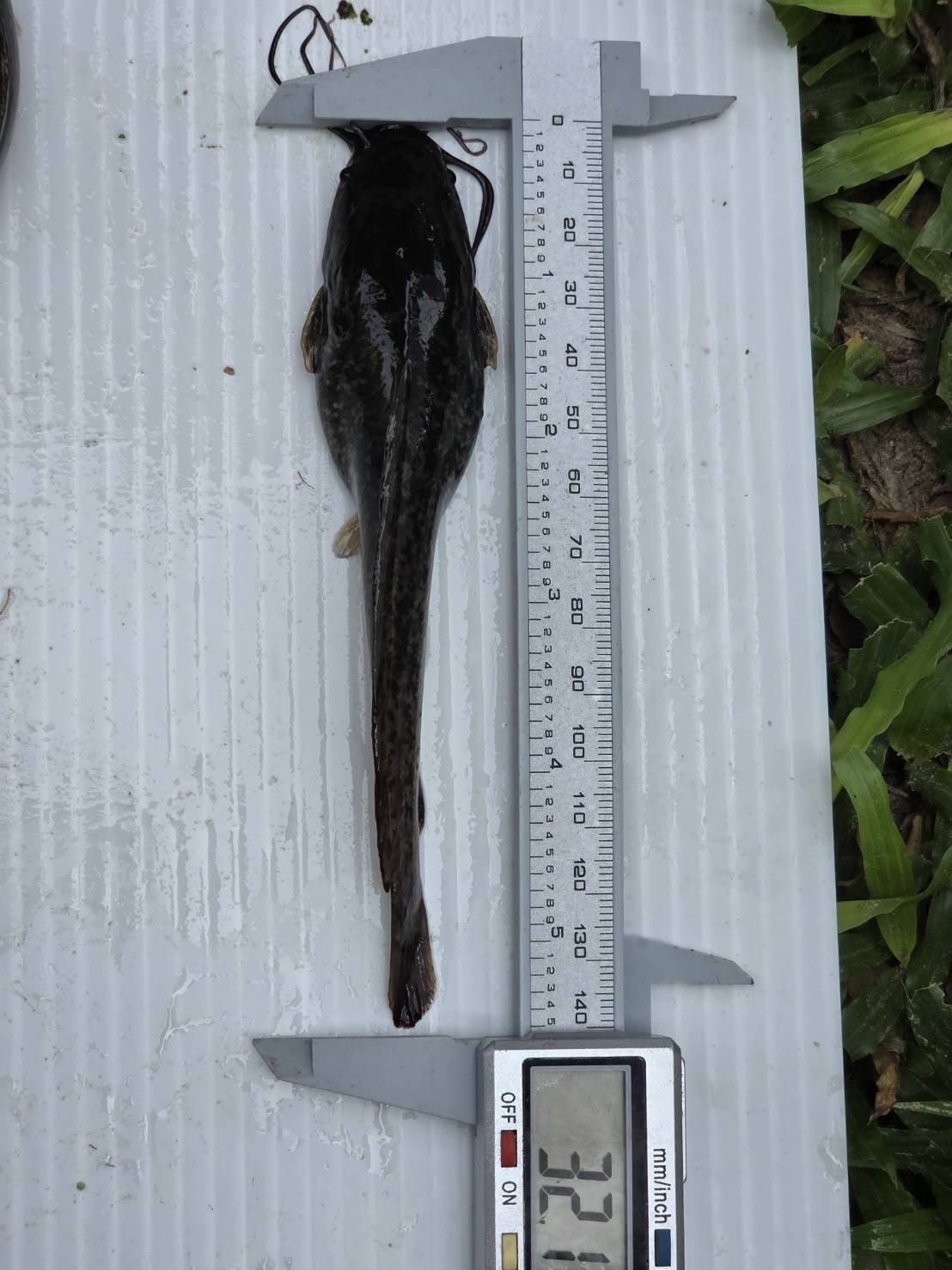 รูป ประกอบบทความ26