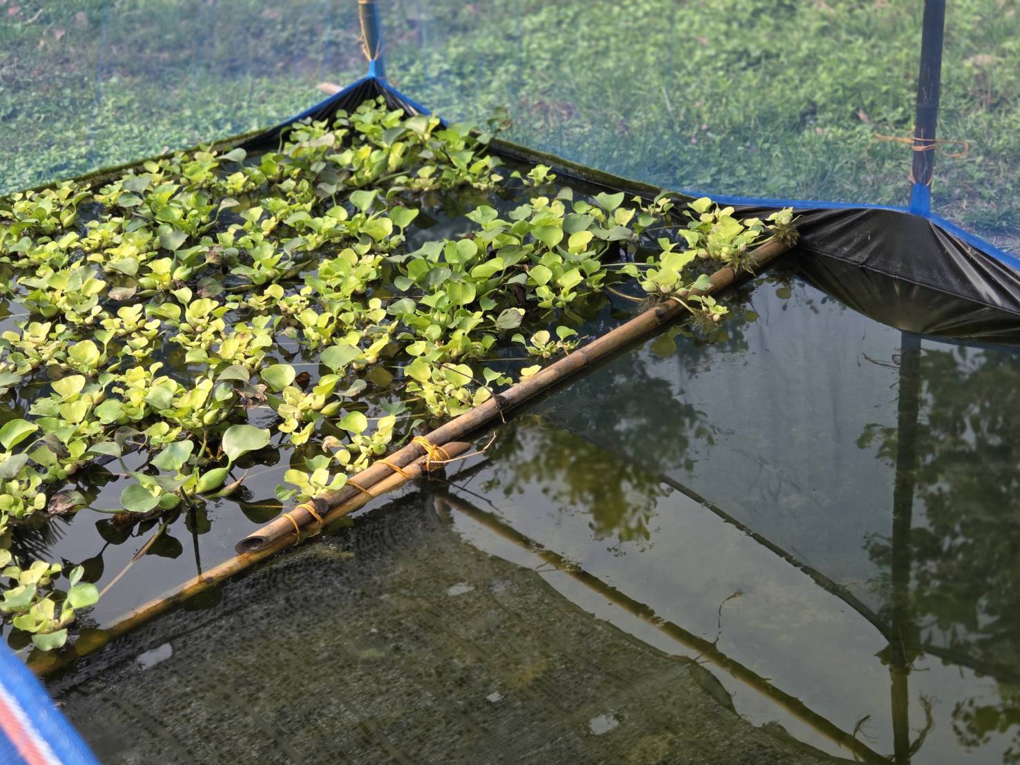 รูป ประกอบบทความ23