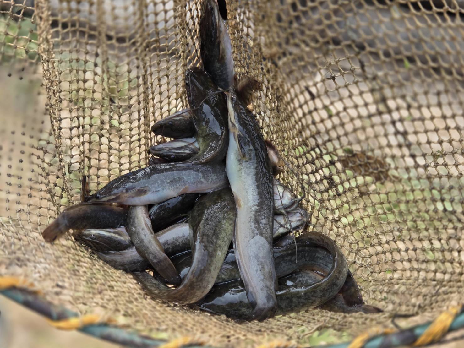 รูป ประกอบบทความ22